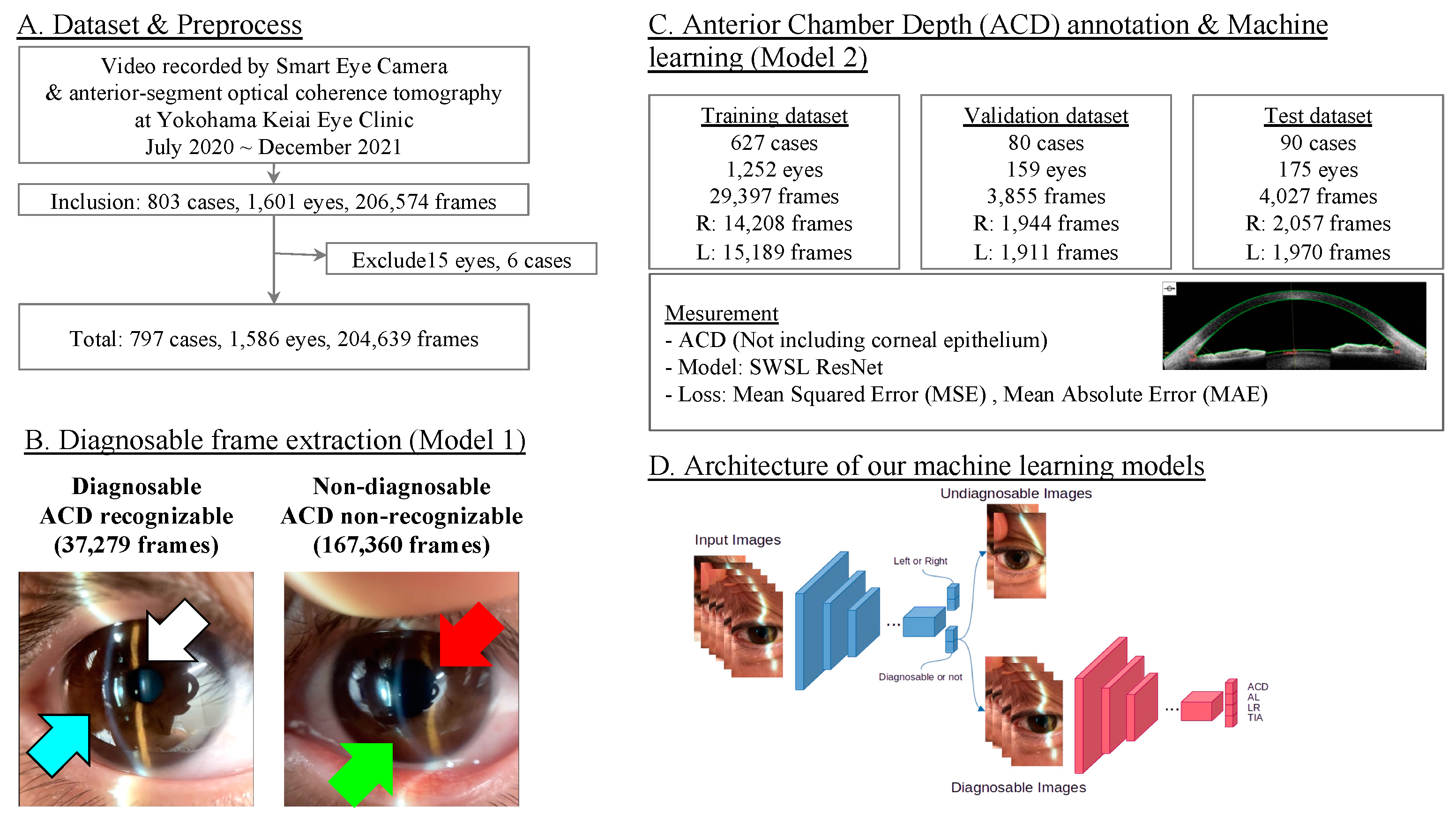 Bioengineering 11 01005 g001