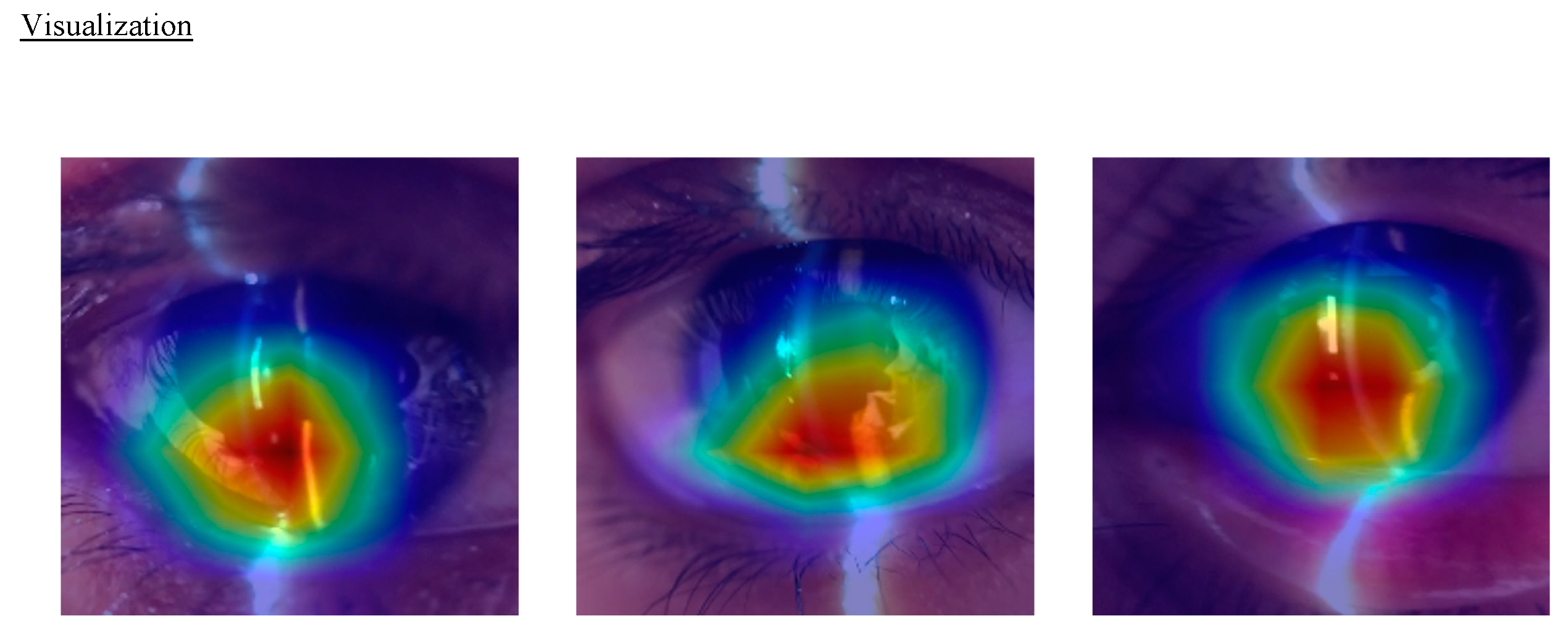 Bioengineering 11 01005 g006