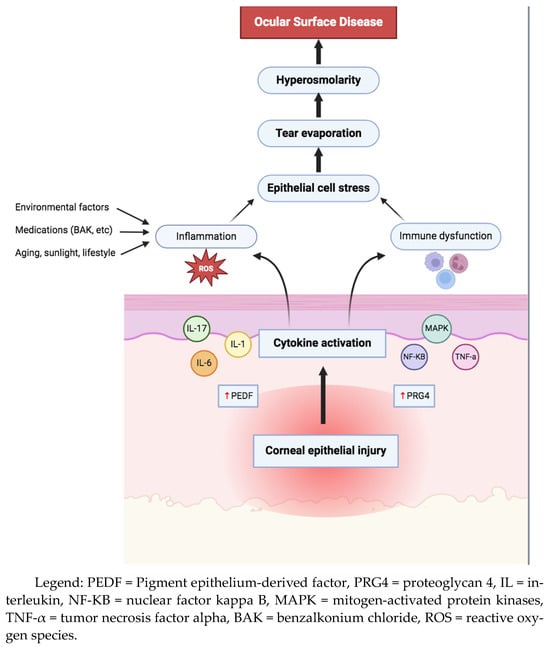 Bioengineering 11 01010 g002
