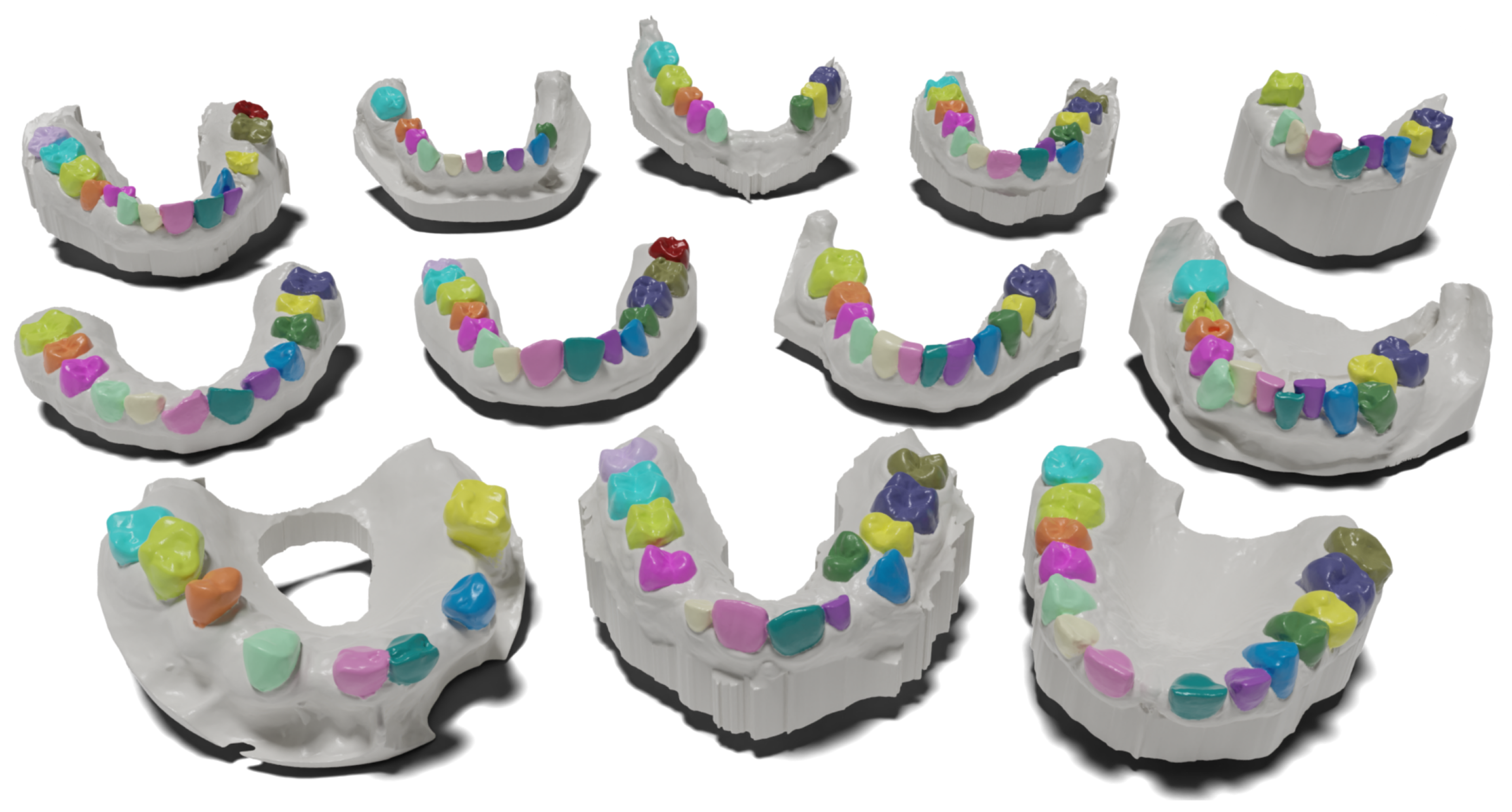 Bioengineering 11 01014 g001