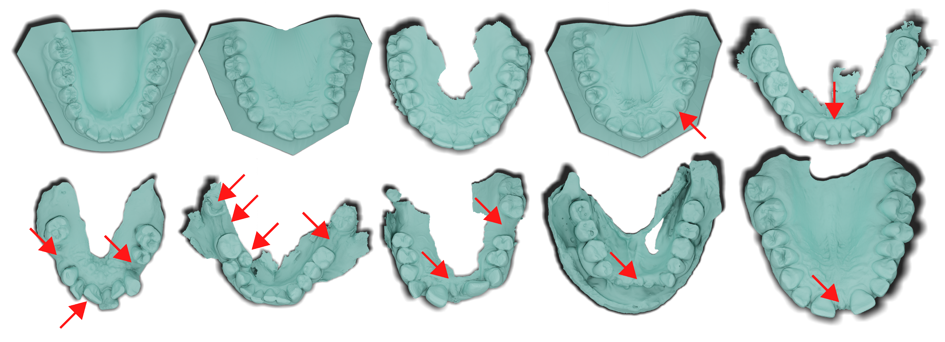 Bioengineering 11 01014 g002