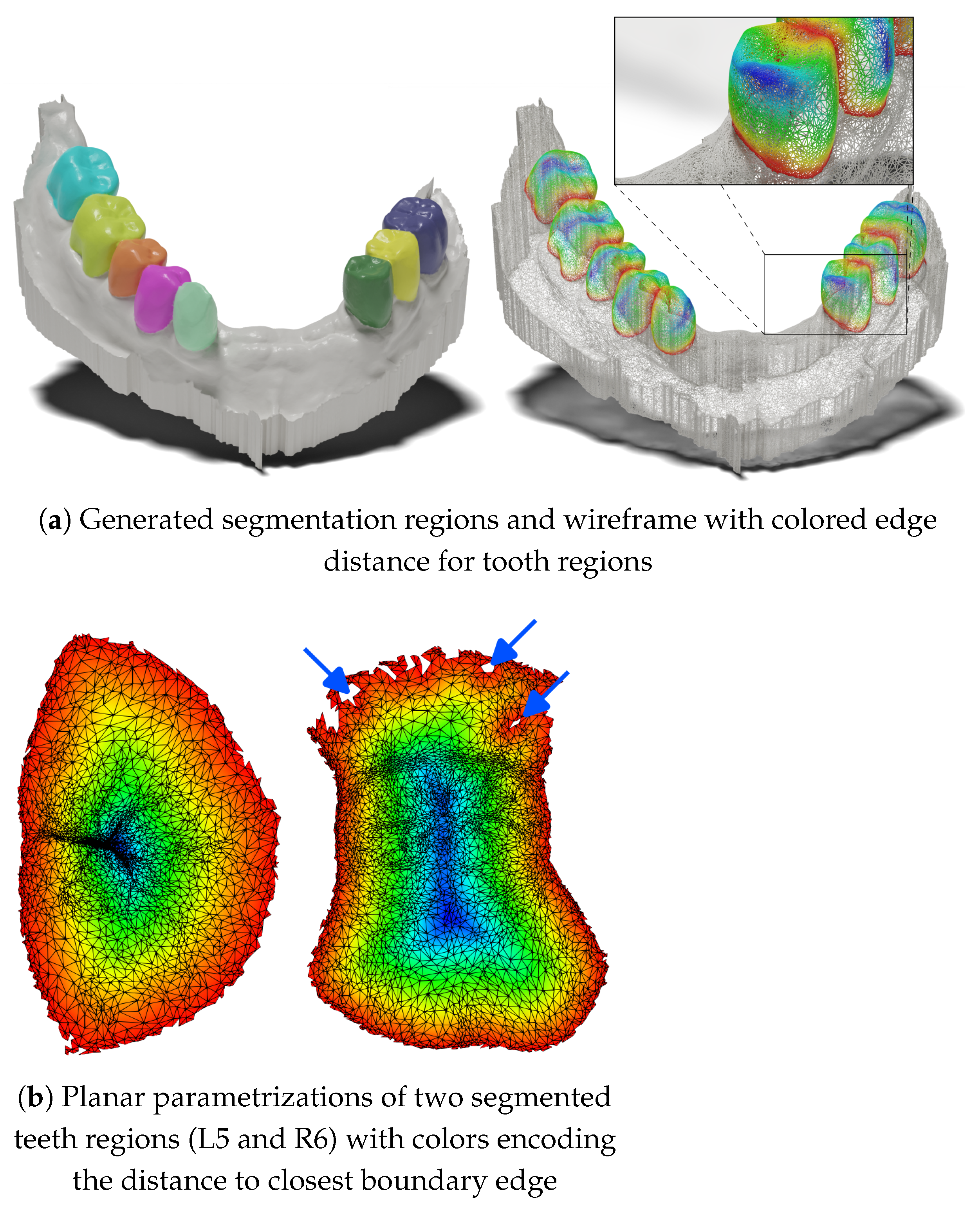 Bioengineering 11 01014 g007