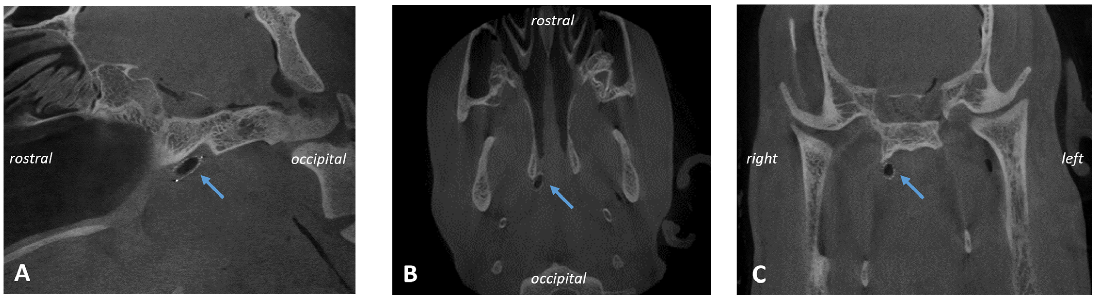 Bioengineering 11 01015 g005