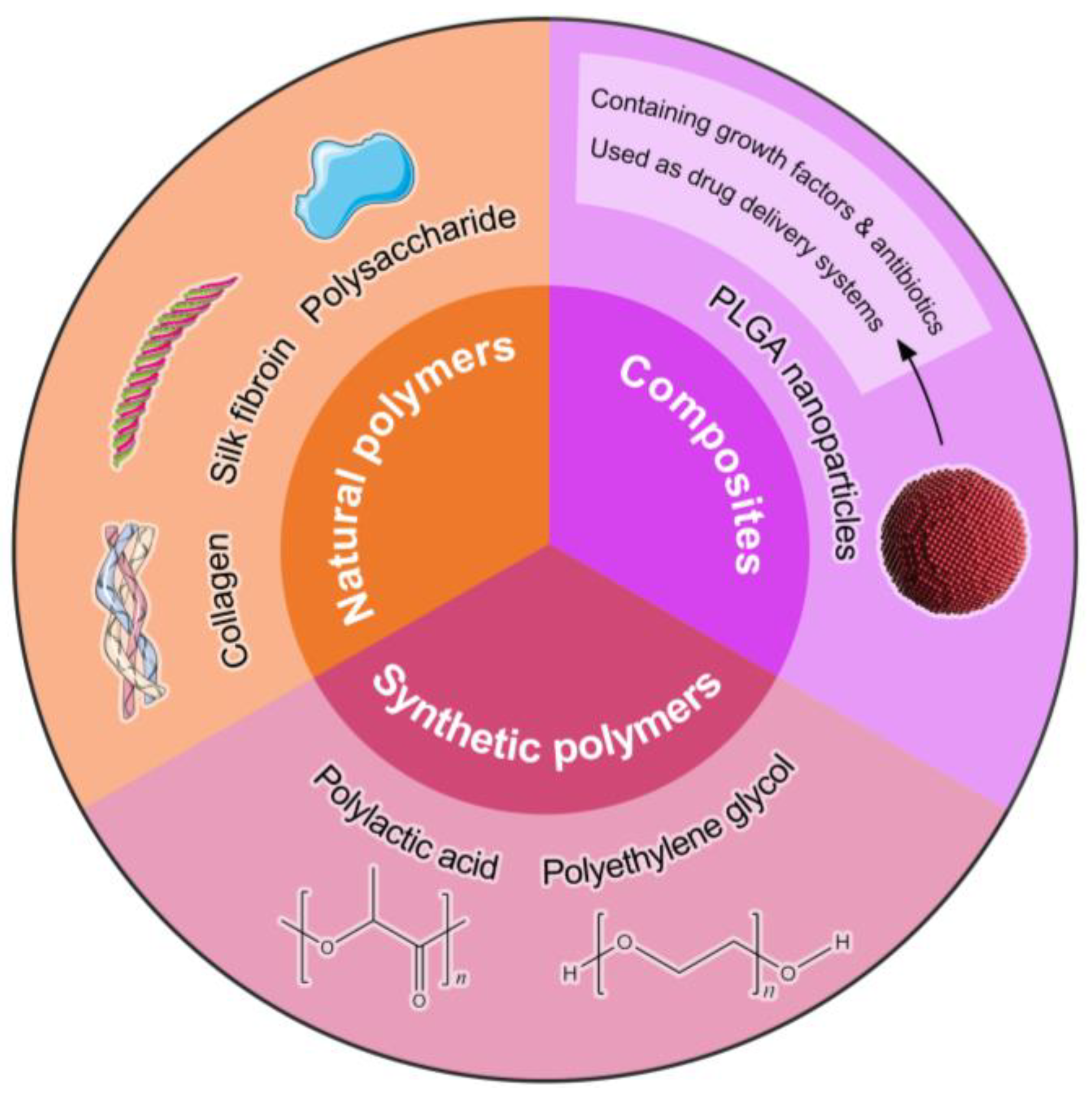 Bioengineering 11 01017 g001