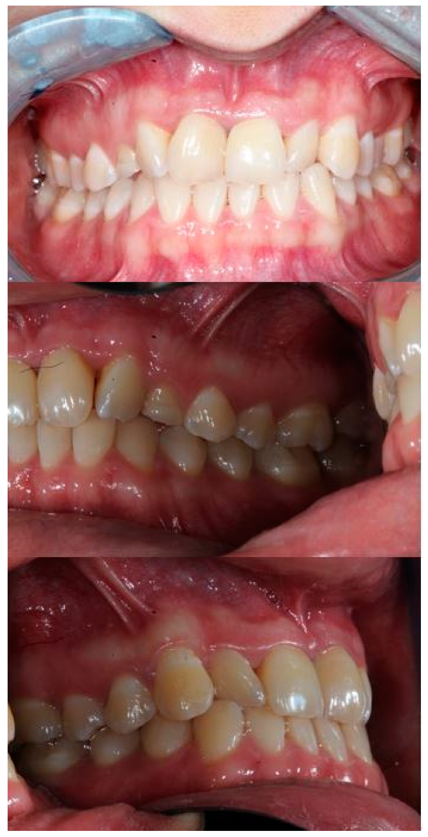 Bioengineering 11 01023 g001