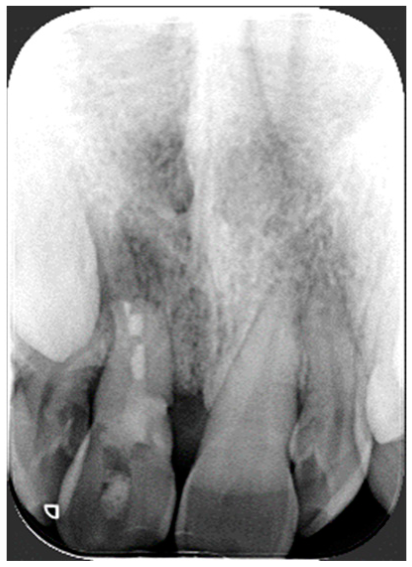 Bioengineering 11 01023 g003