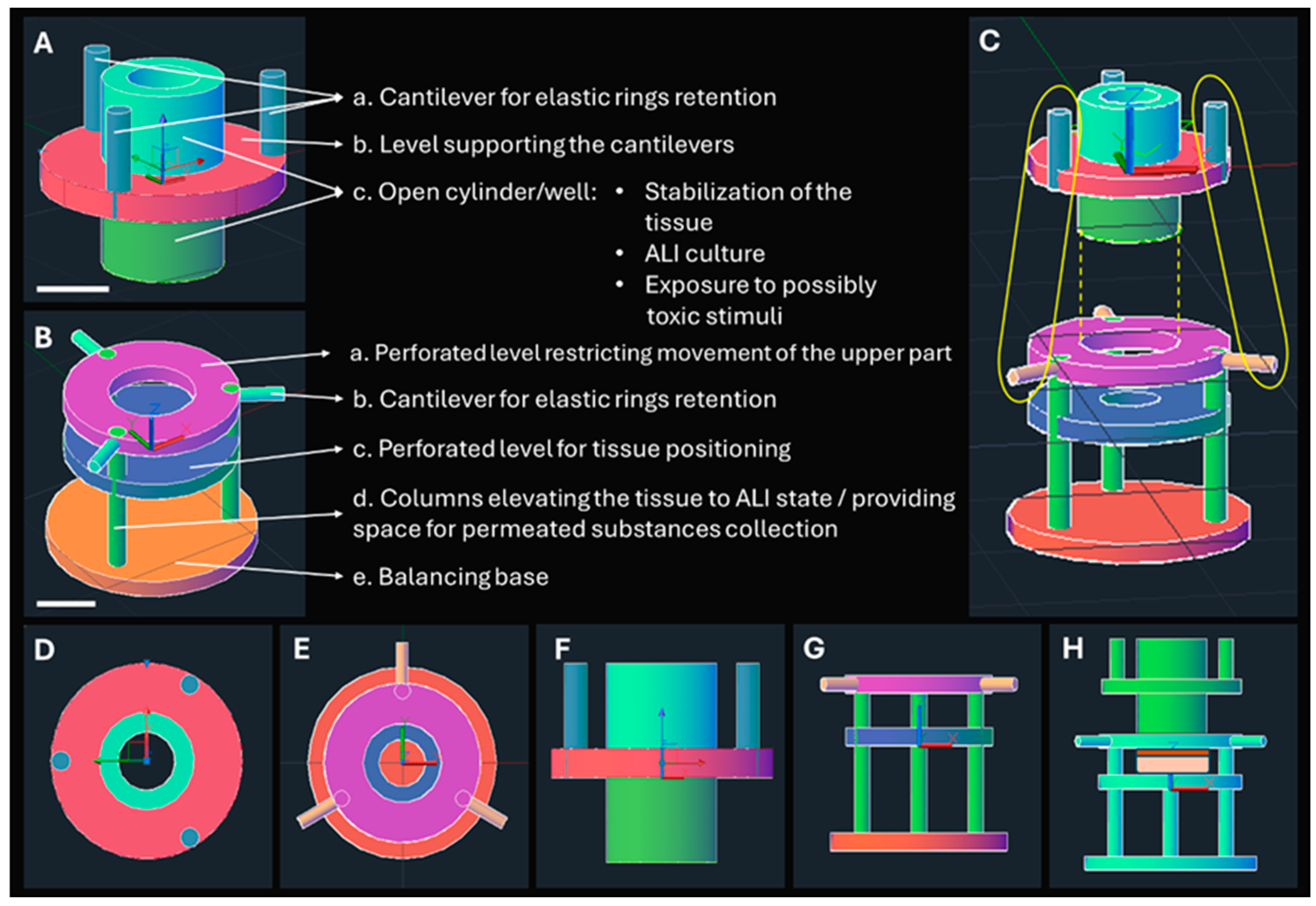 Bioengineering 11 01035 g002
