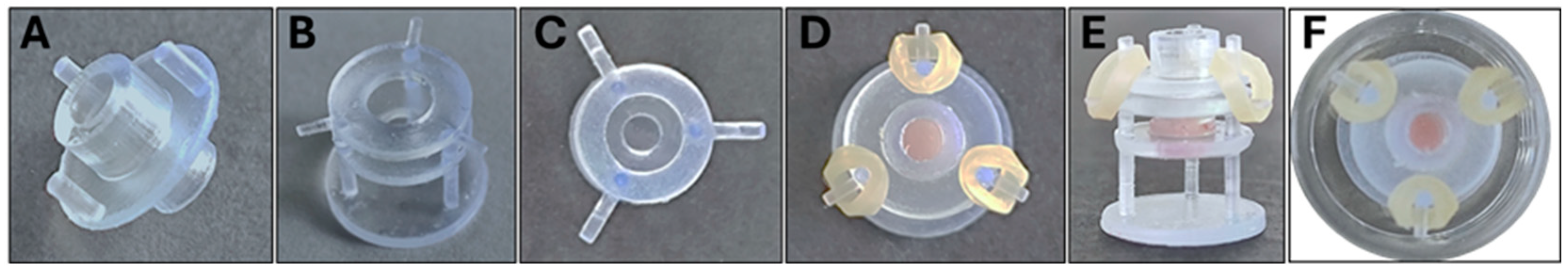 Bioengineering 11 01035 g003