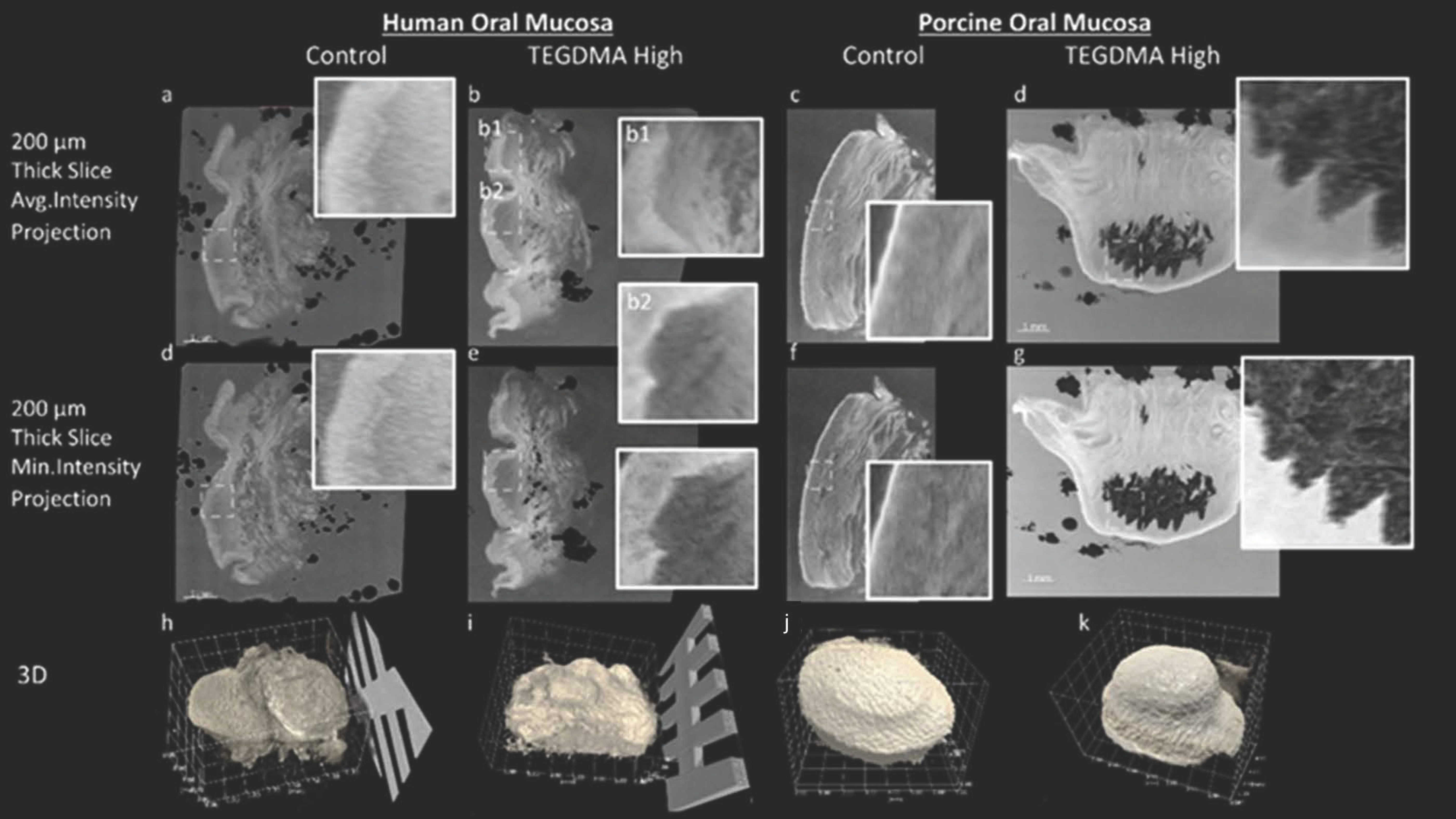 Bioengineering 11 01035 g006
