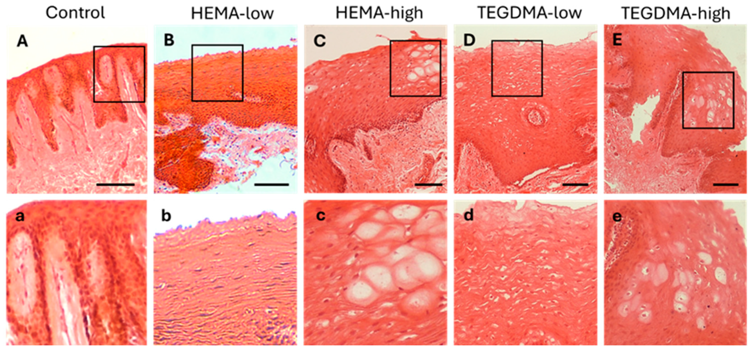 Bioengineering 11 01035 g008