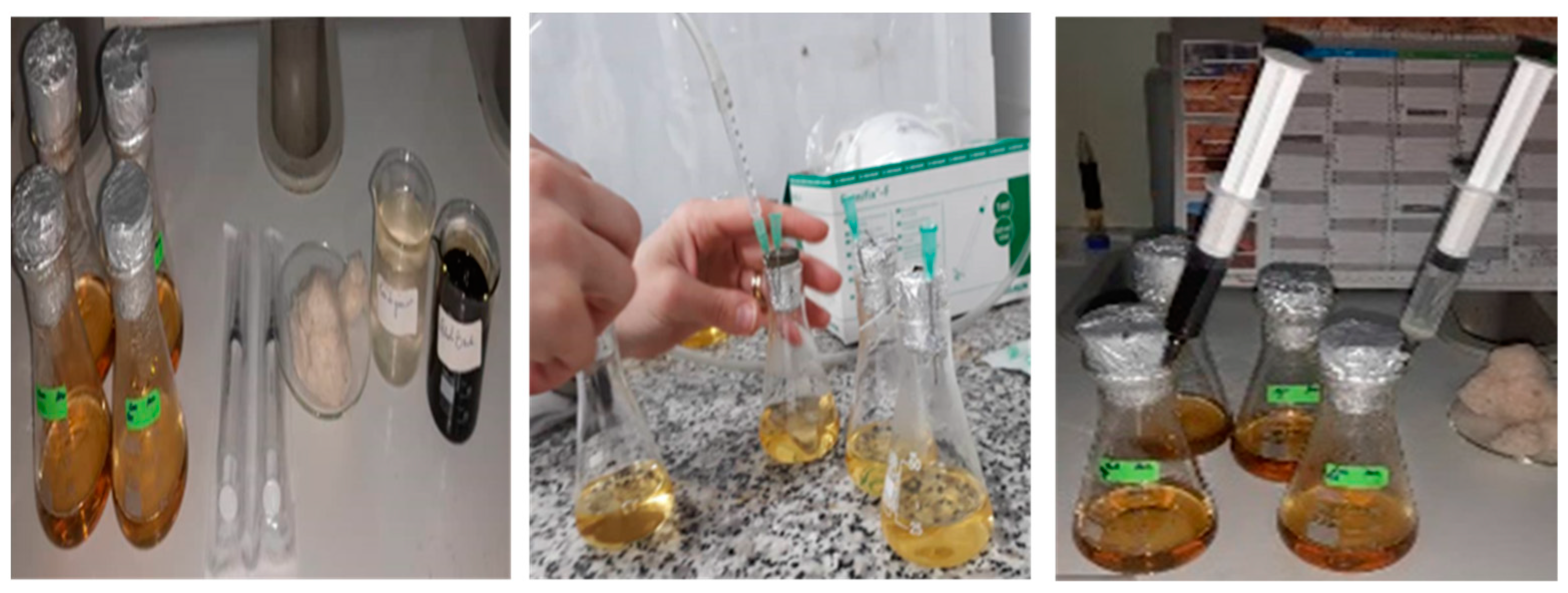 Bioengineering 11 01046 g002 Bioengineering 11 01046 g002