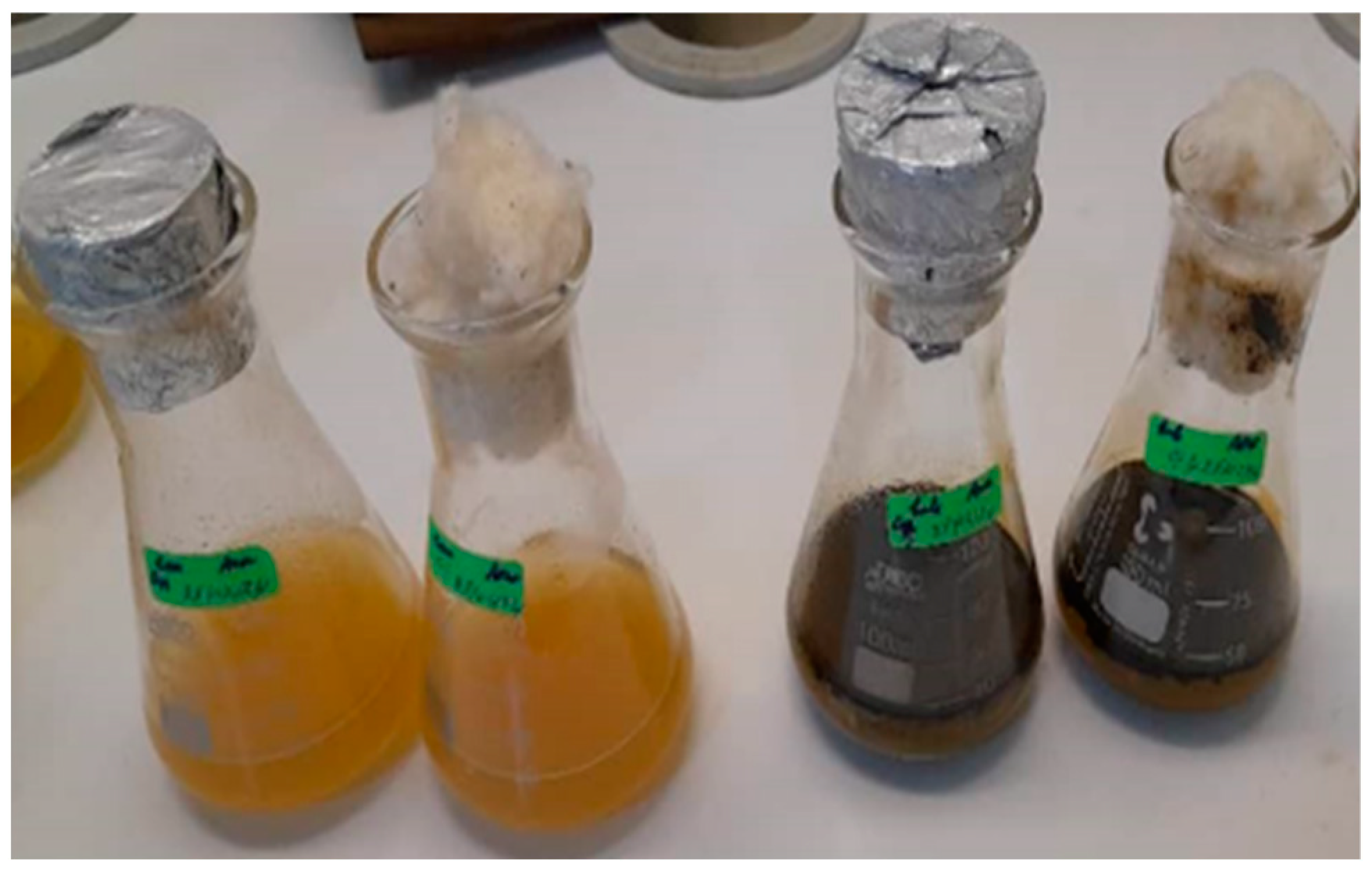 Bioengineering 11 01046 g004 Bioengineering 11 01046 g004