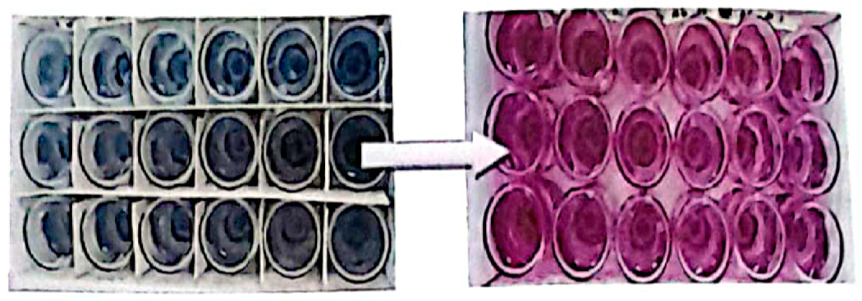 Bioengineering 11 01046 g005 Bioengineering 11 01046 g005