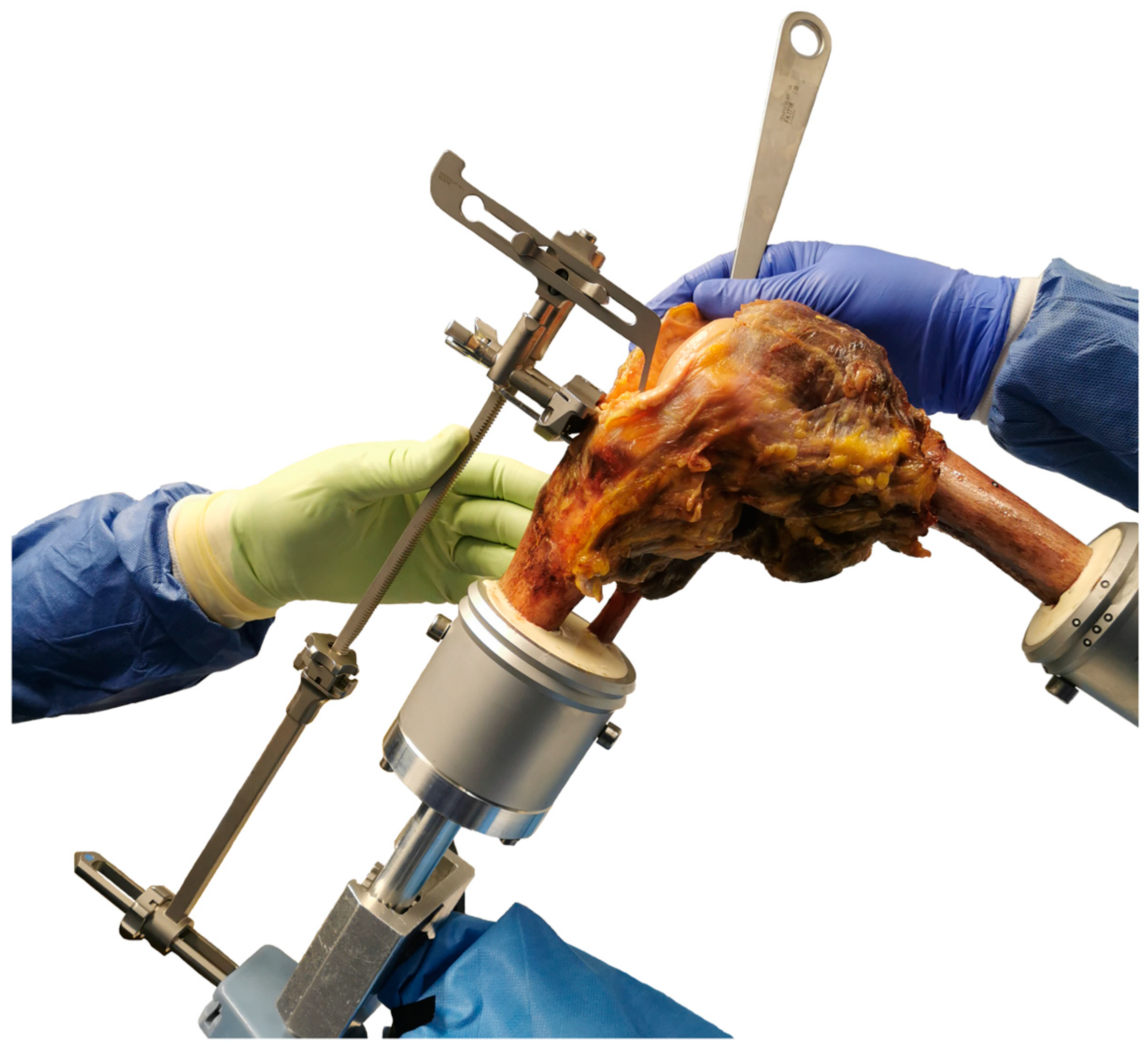 Bioengineering 11 01064 g001