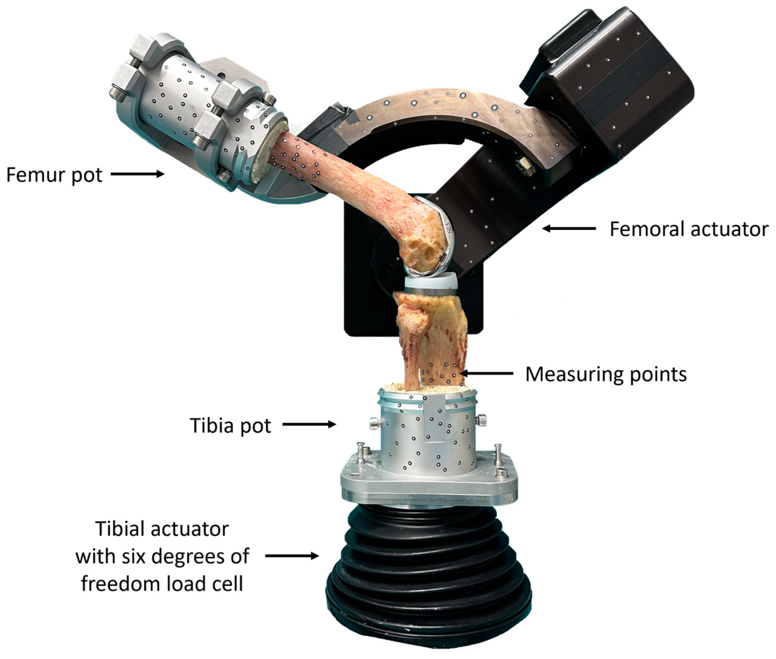 Bioengineering 11 01064 g002