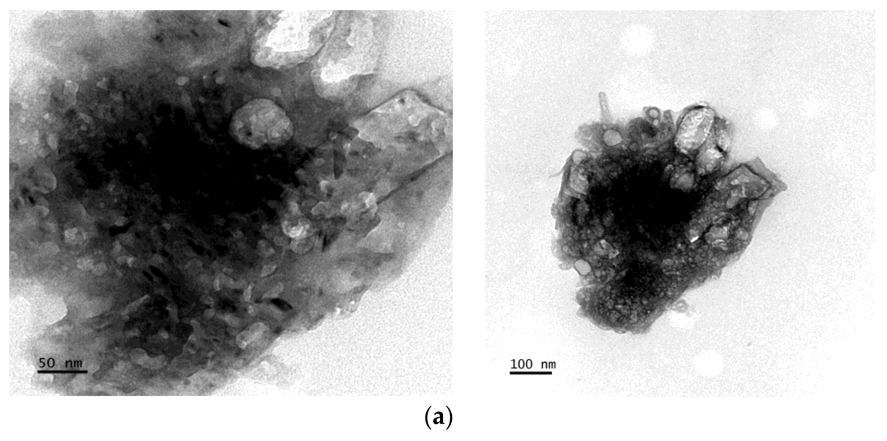 Bioengineering 11 01091 g005a