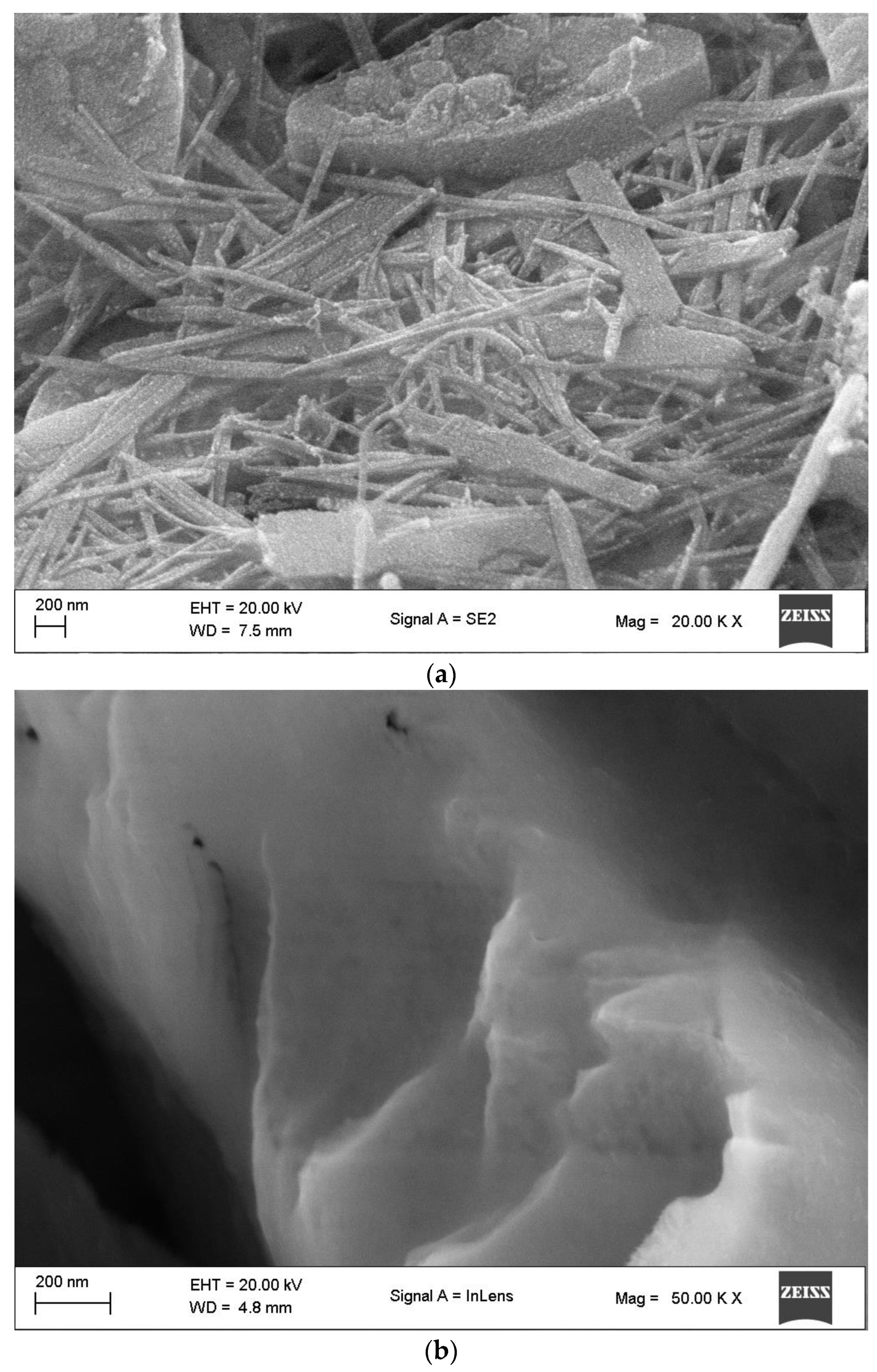 Bioengineering 11 01091 g006