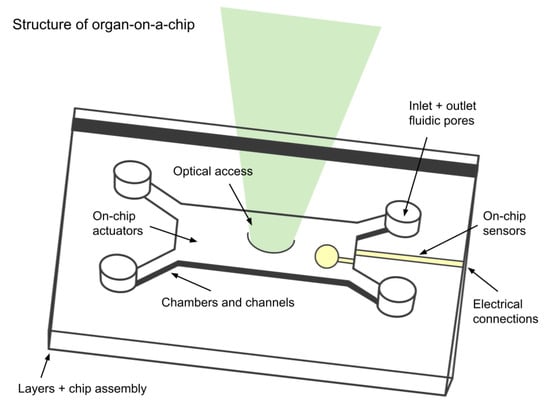 Bioengineering 11 01096 g003
