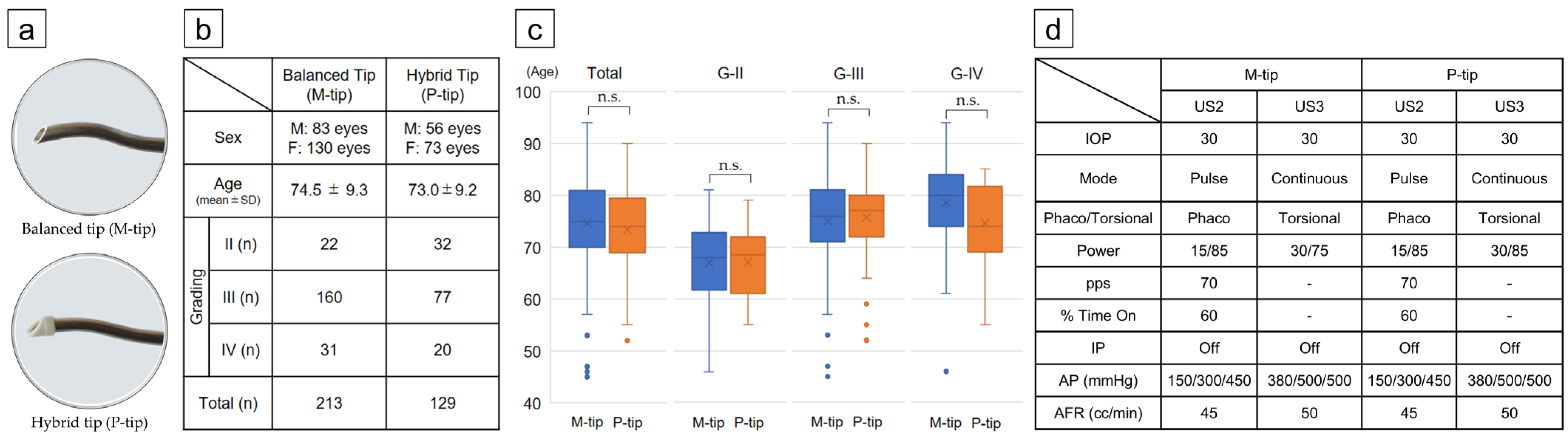 Bioengineering 11 01195 g001 Bioengineering 11 01195 g001