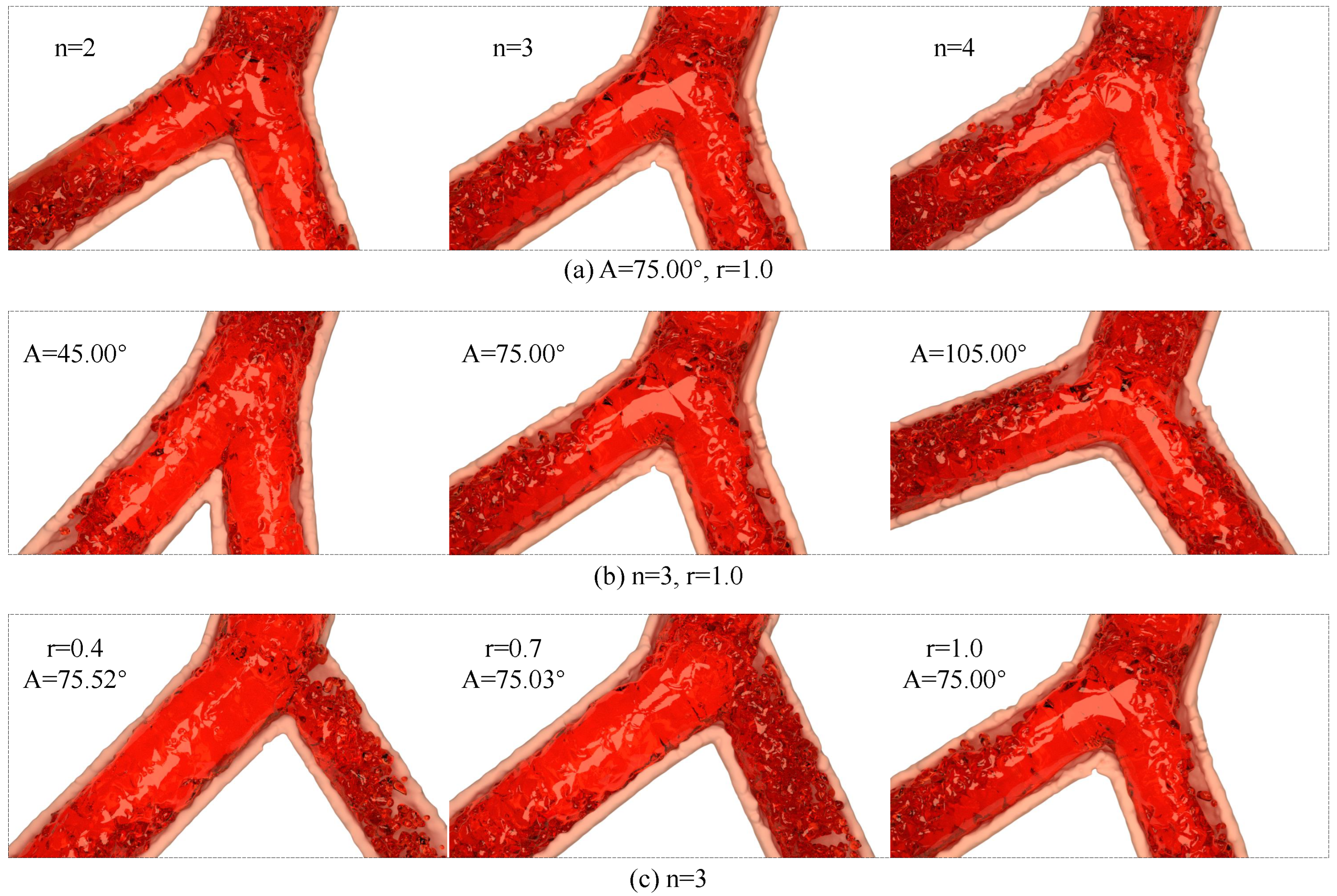 Bioengineering 11 01200 g002 Bioengineering 11 01200 g002