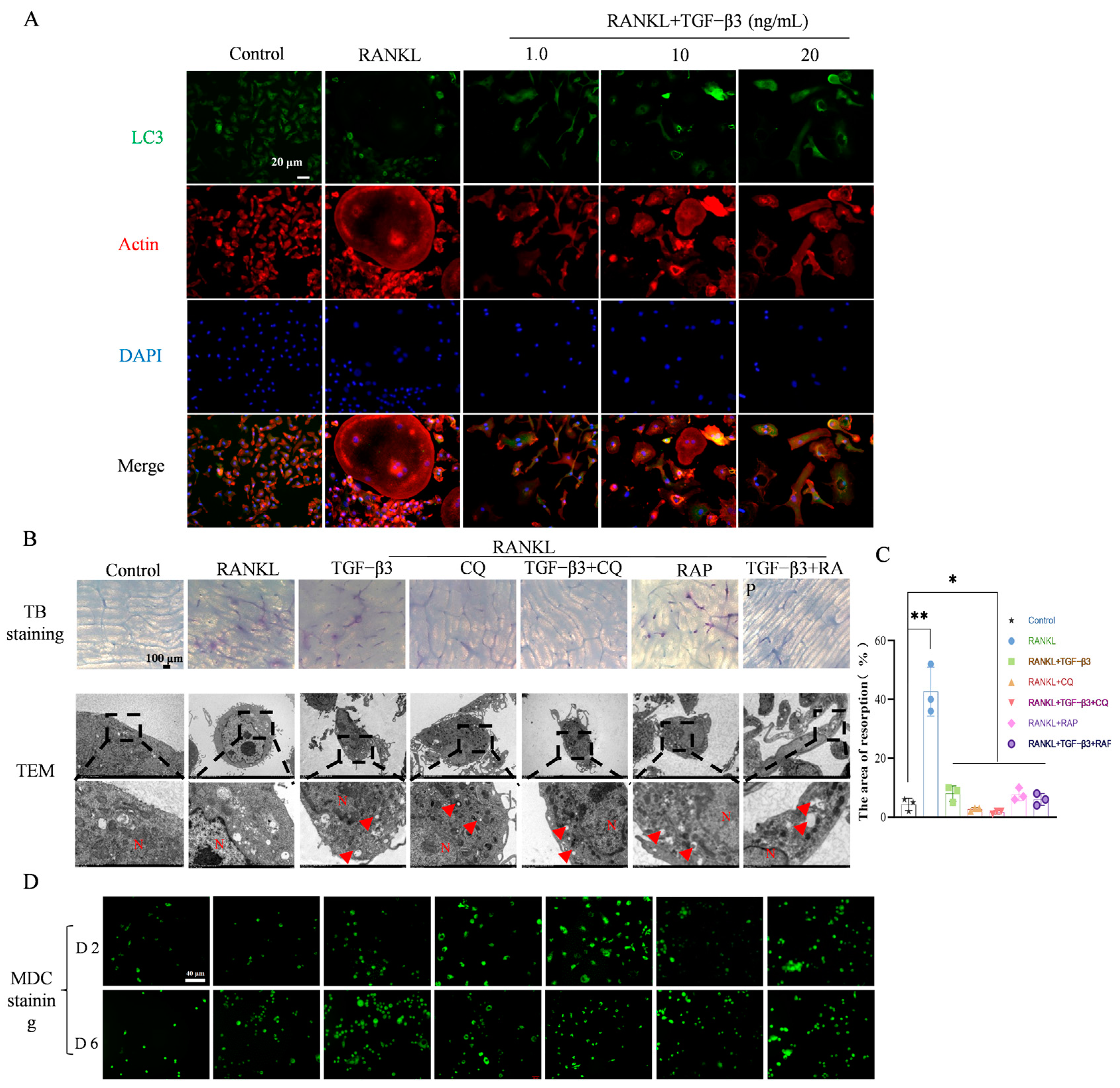 Bioengineering 11 01206 g003 Bioengineering 11 01206 g003
