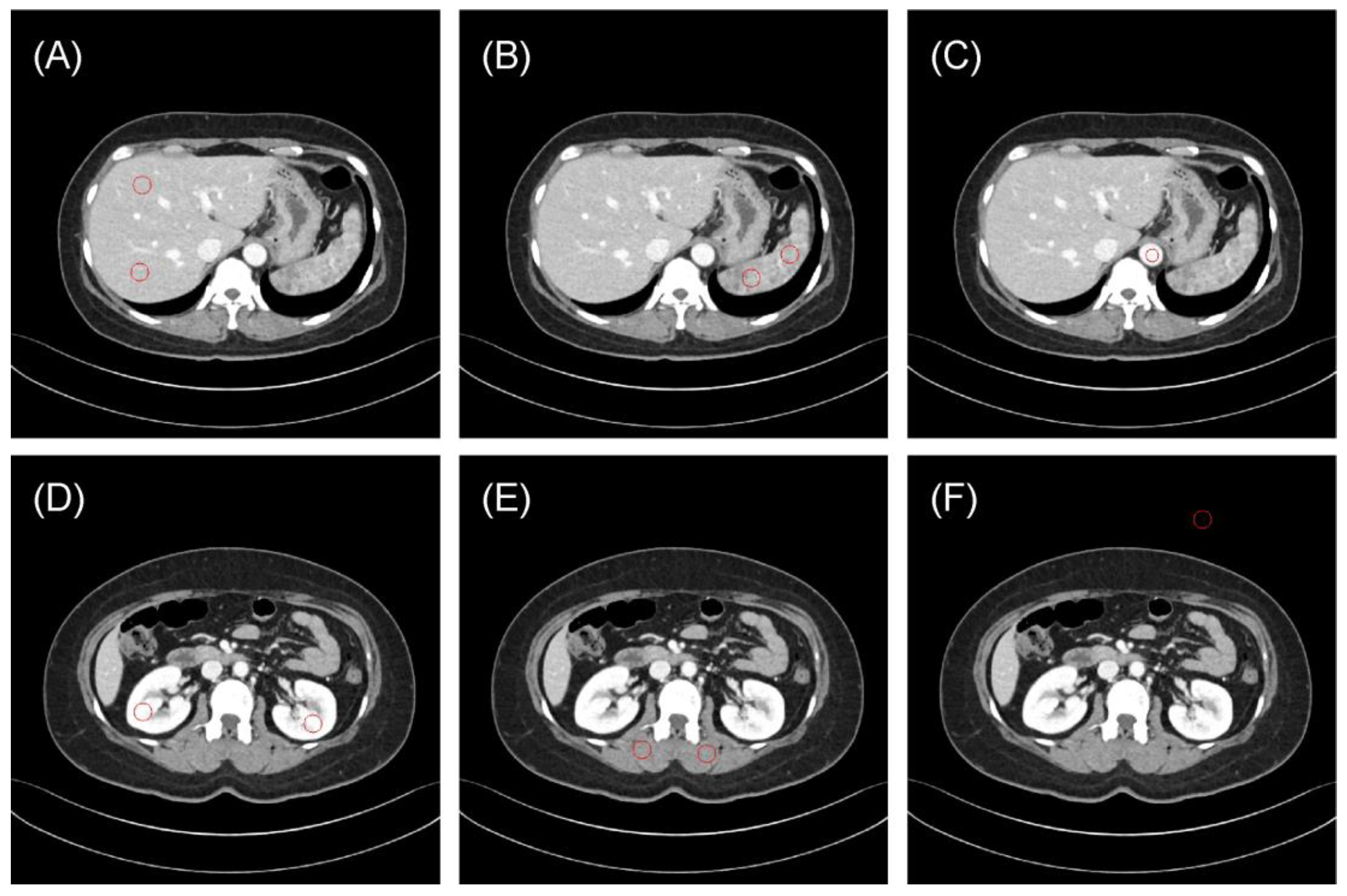 Bioengineering 11 01212 g001