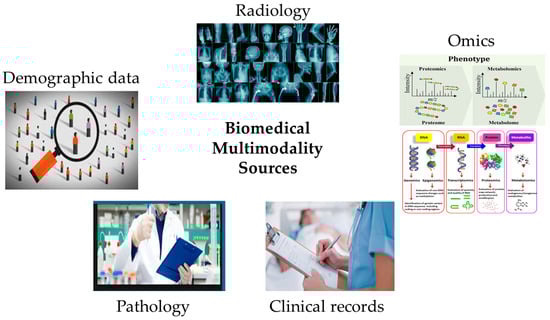 Bioengineering 11 01233 g002