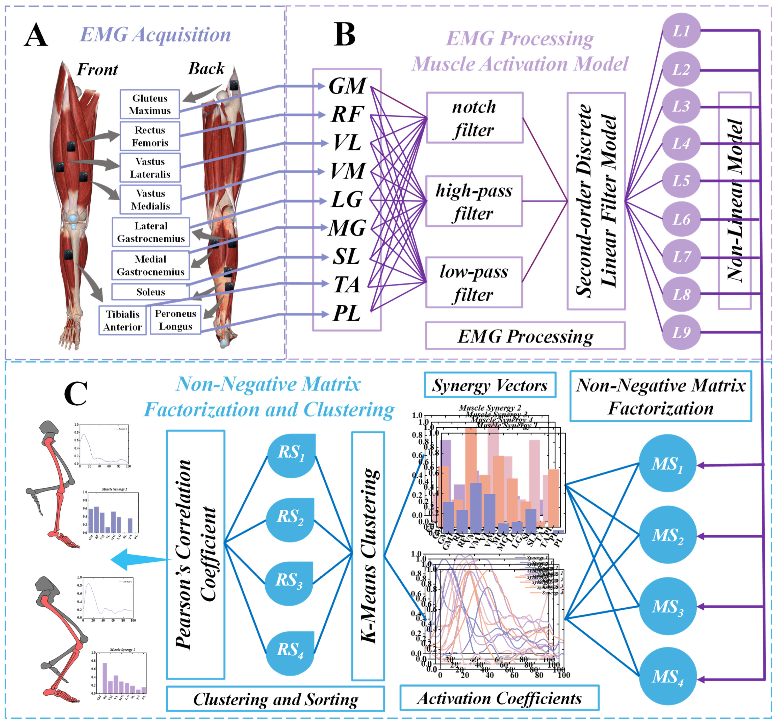 Bioengineering 11 01237 g001