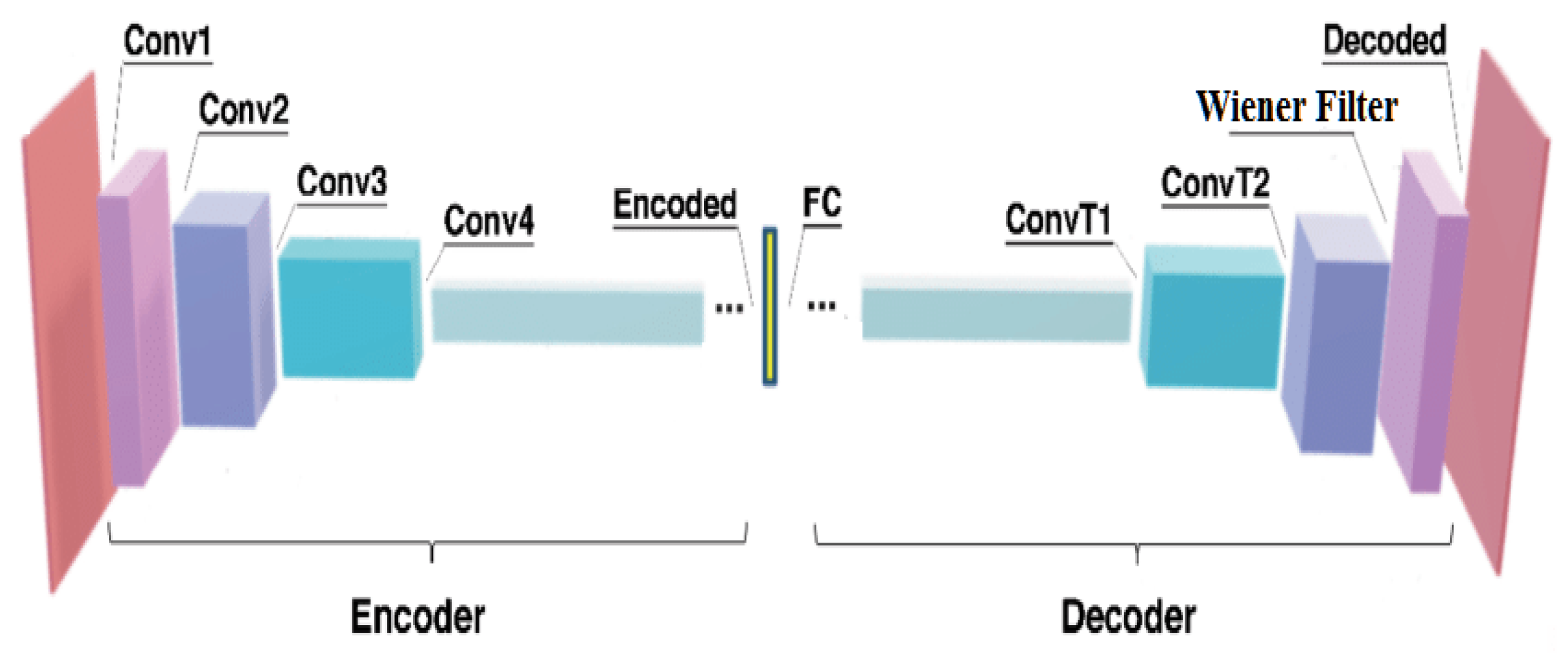 Bioengineering 11 01251 g002
