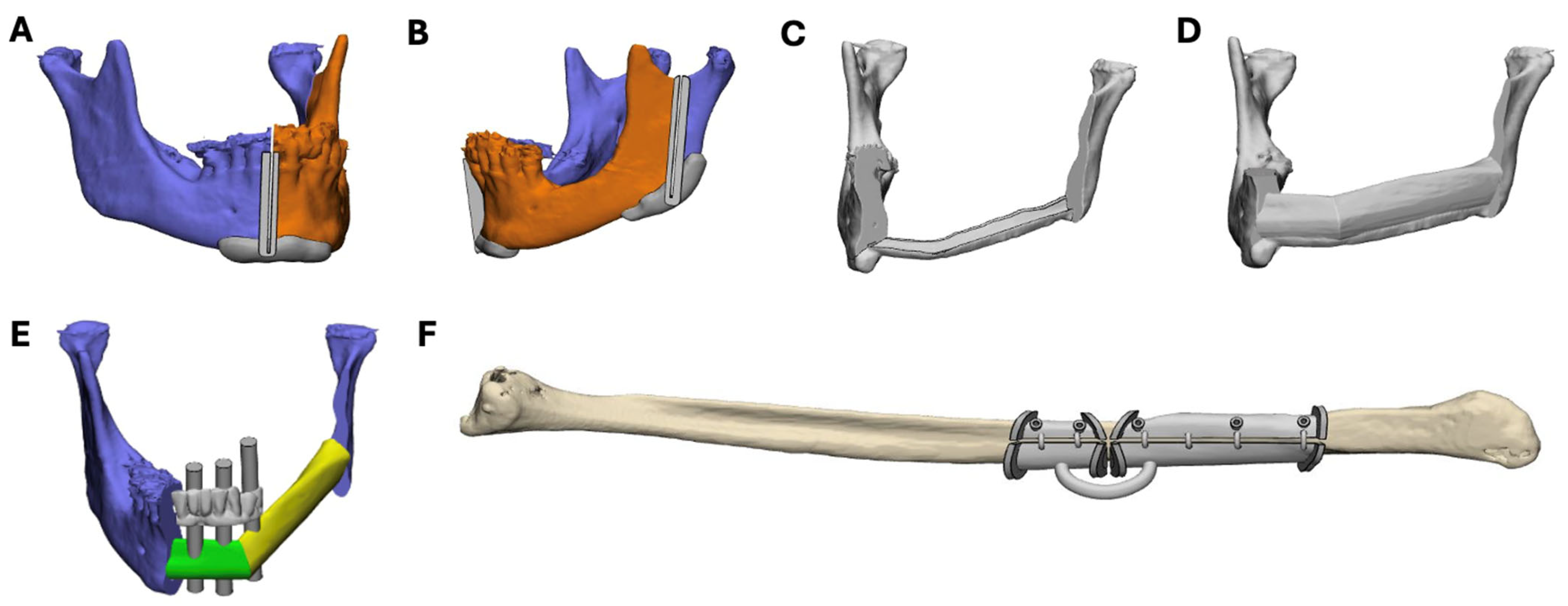 Bioengineering 11 01254 g002
