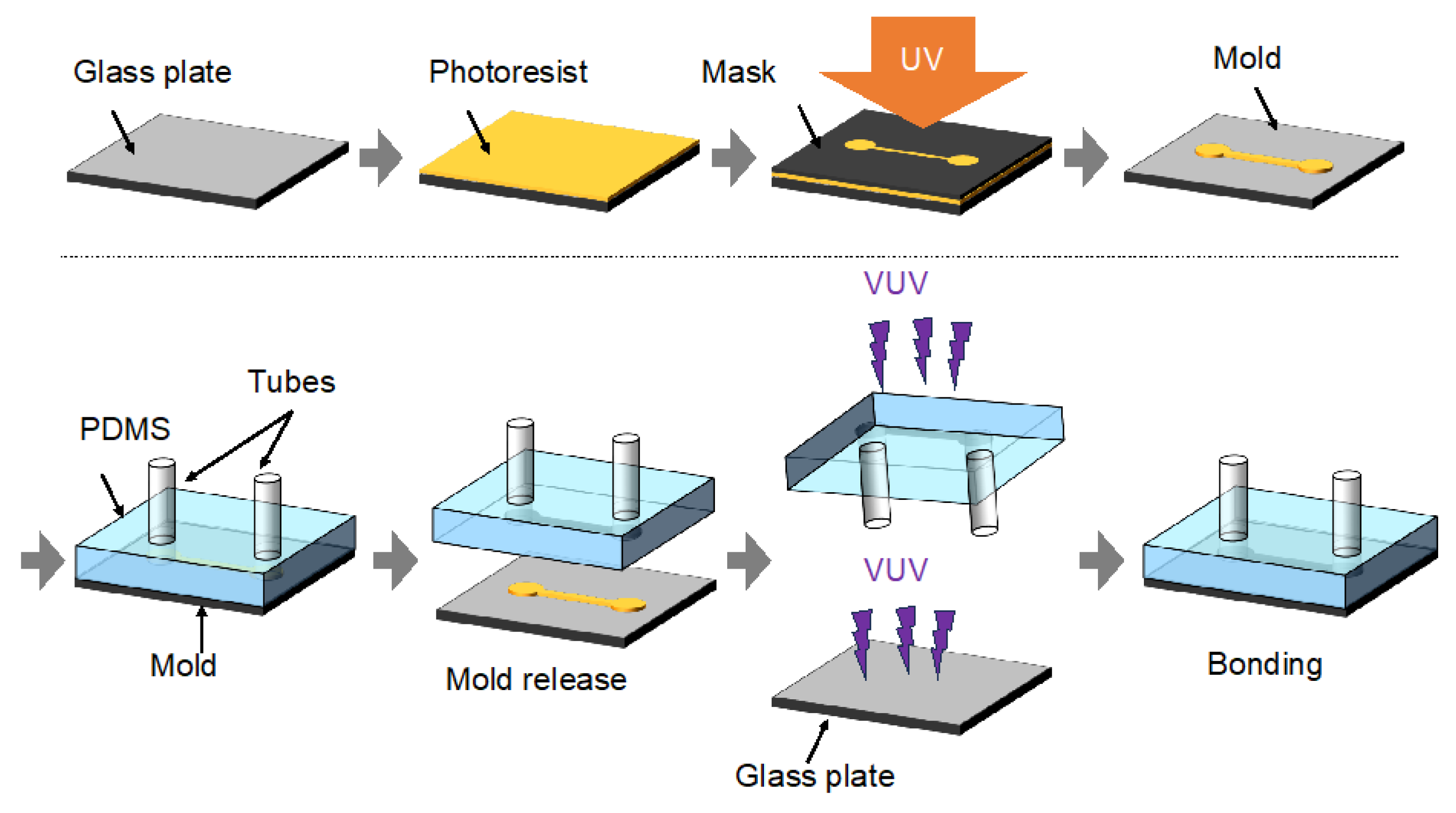 Bioengineering 12 00003 g002 Bioengineering 12 00003 g002