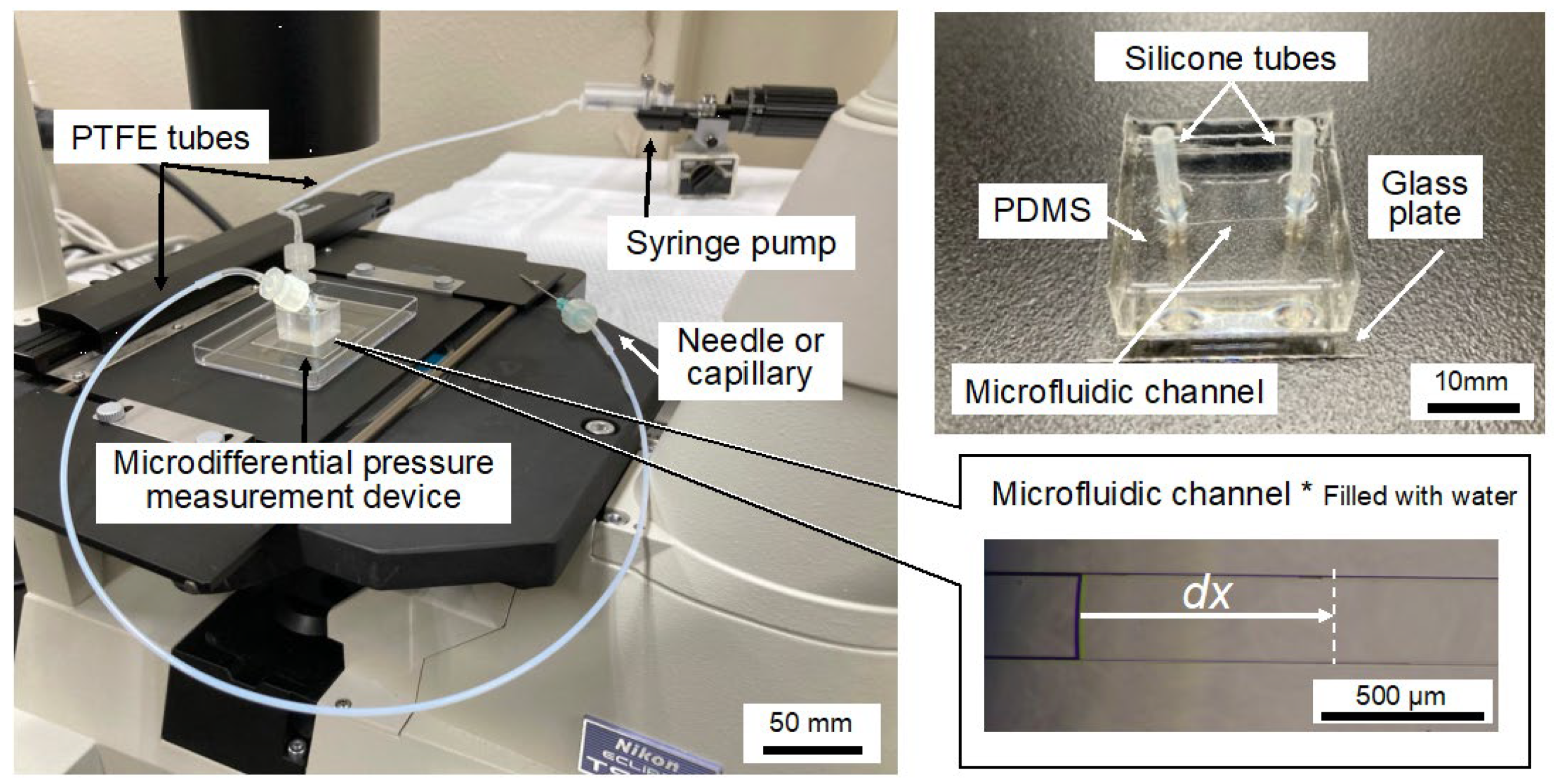 Bioengineering 12 00003 g005 Bioengineering 12 00003 g005