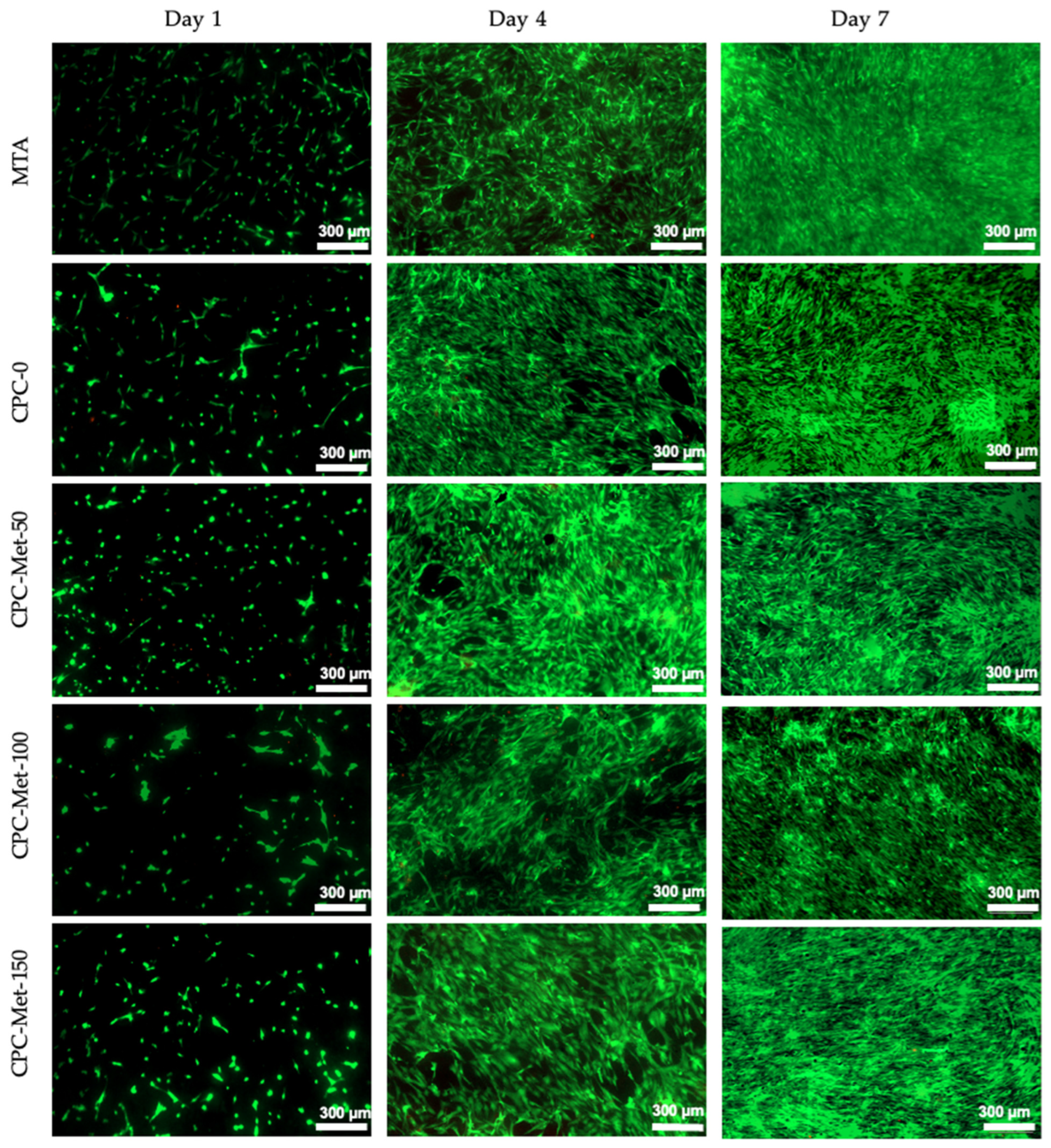 Bioengineering 12 00013 g005