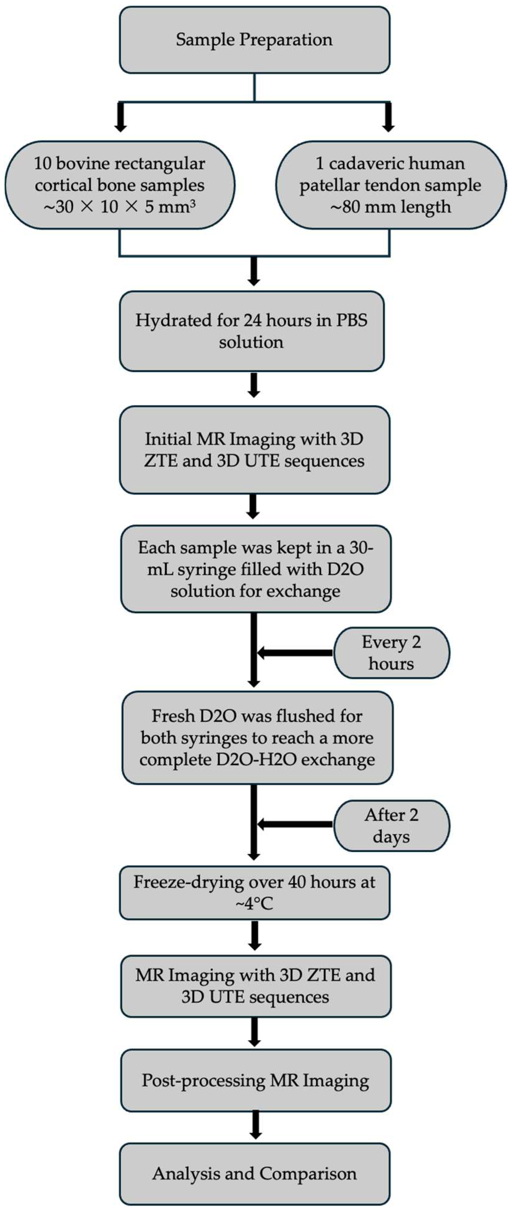 Bioengineering 12 00016 g002