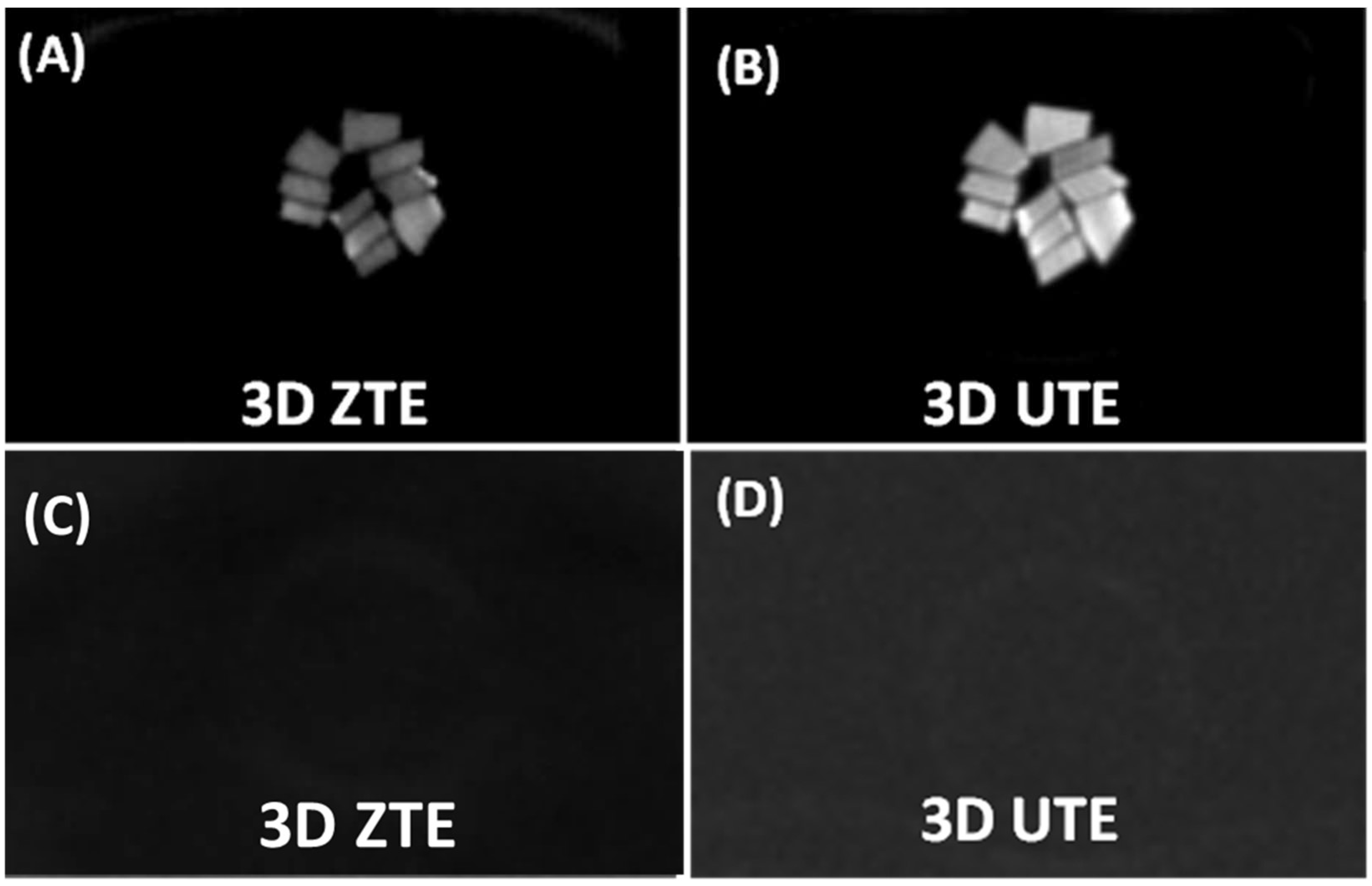Bioengineering 12 00016 g003