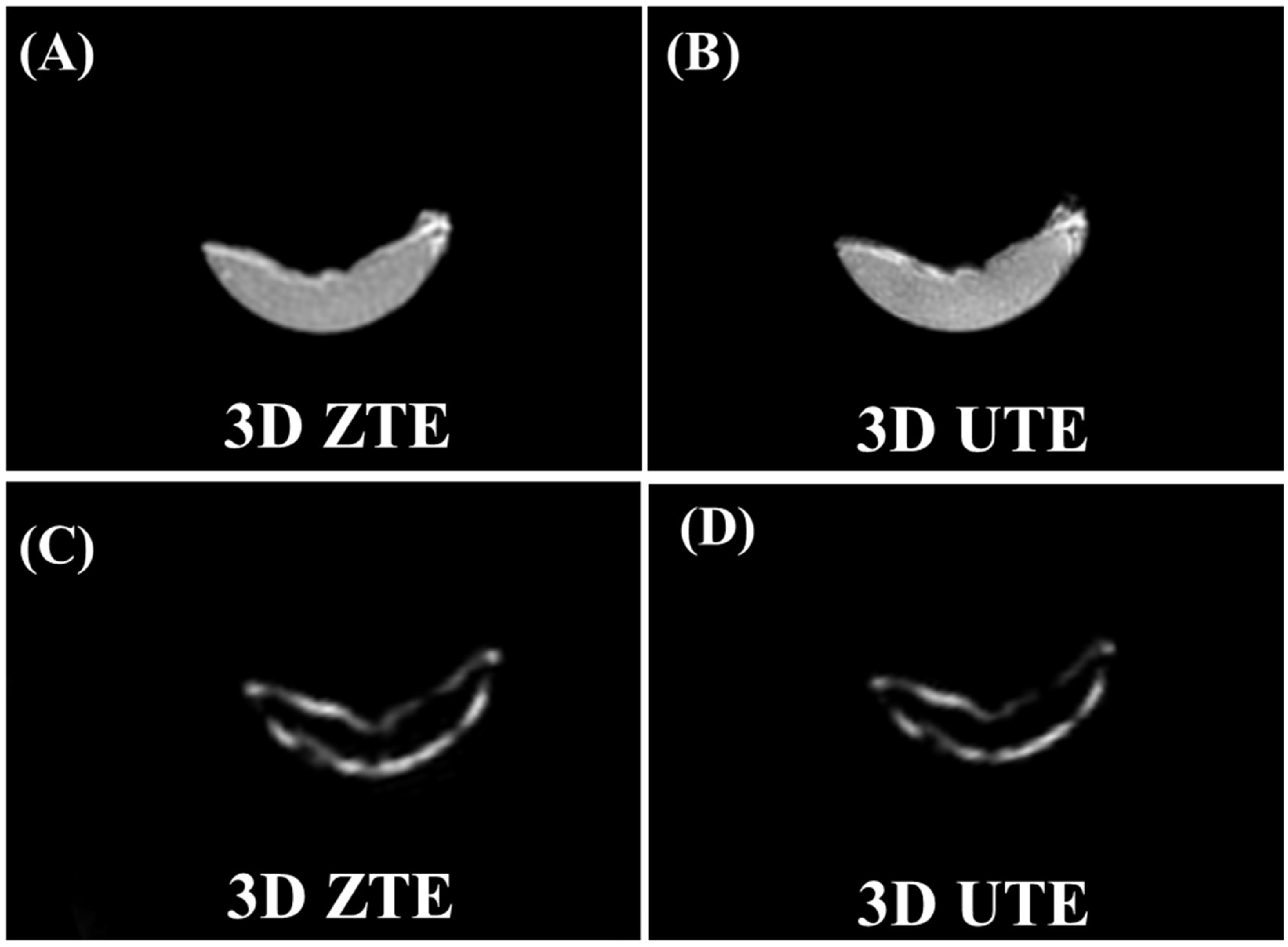 Bioengineering 12 00016 g004