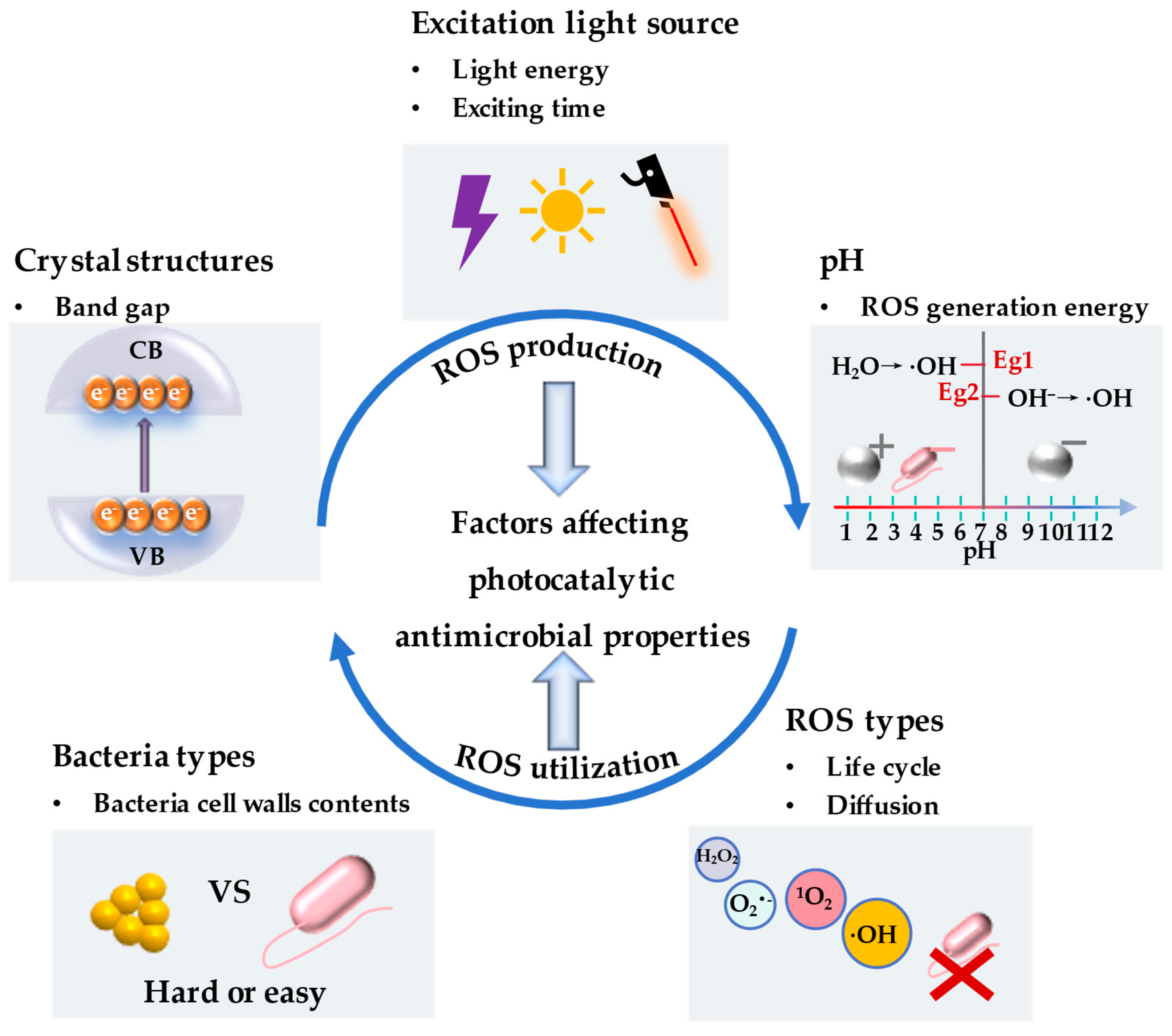 Bioengineering 12 00019 g002