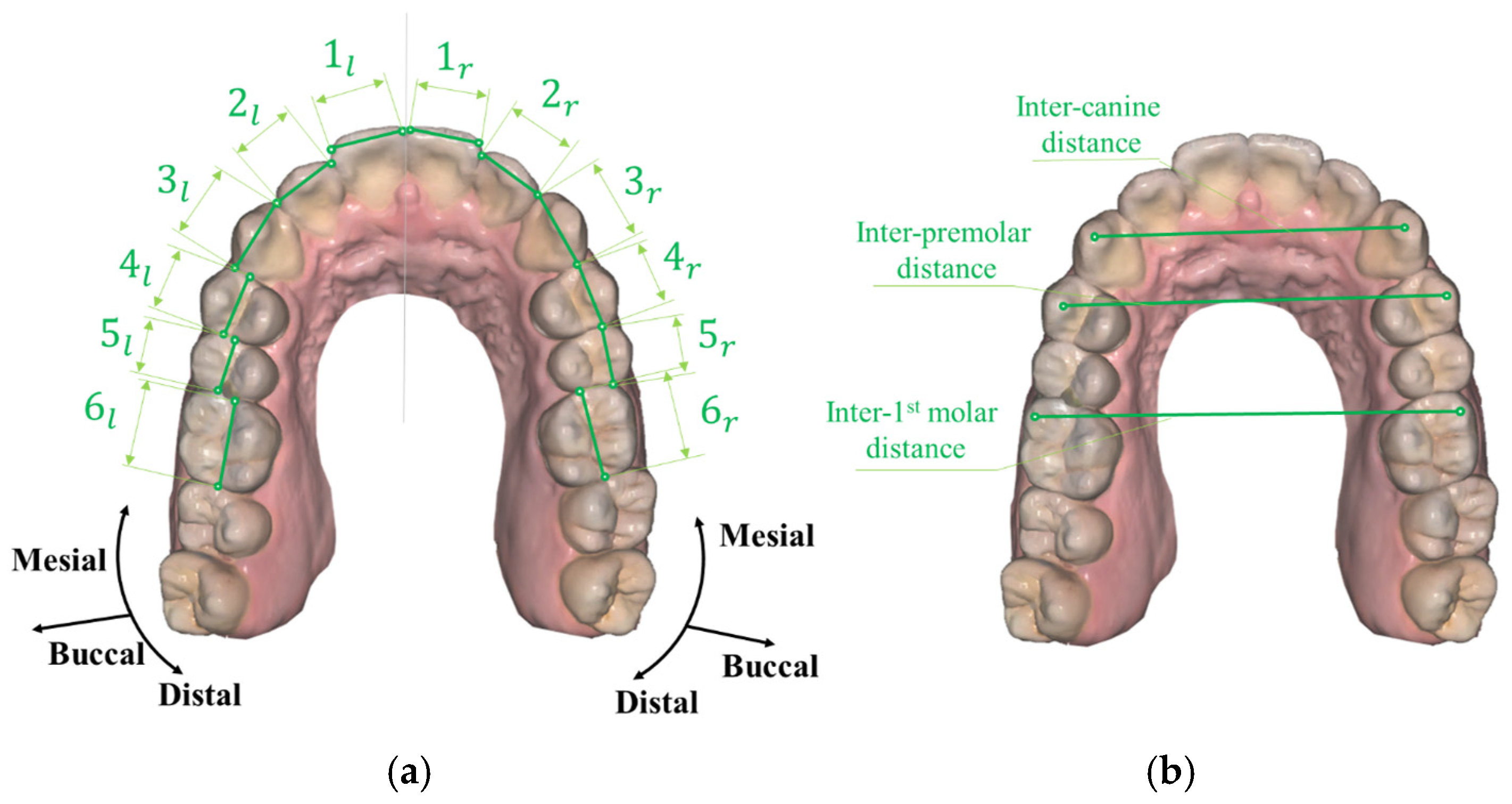 Bioengineering 12 00022 g001
