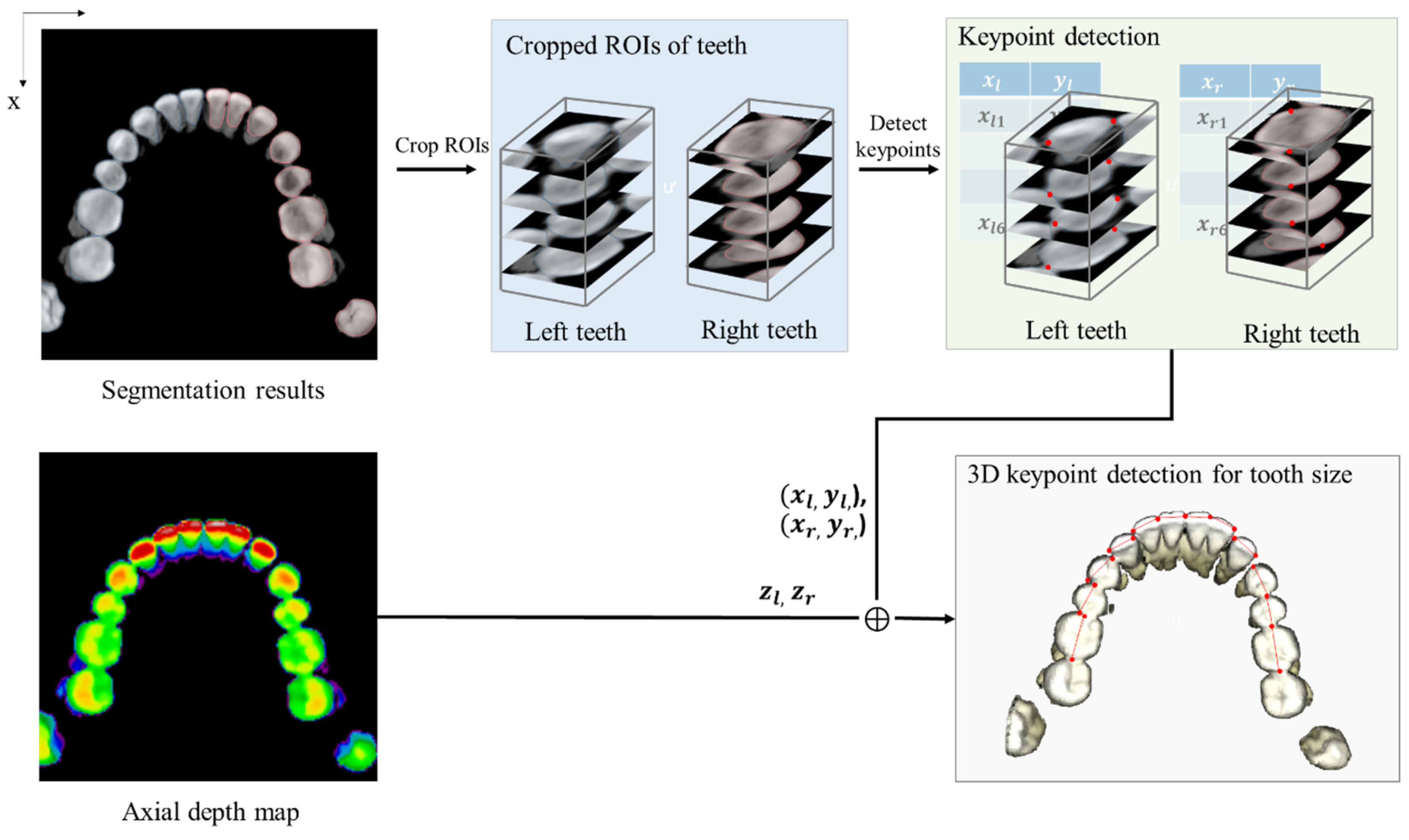 Bioengineering 12 00022 g005
