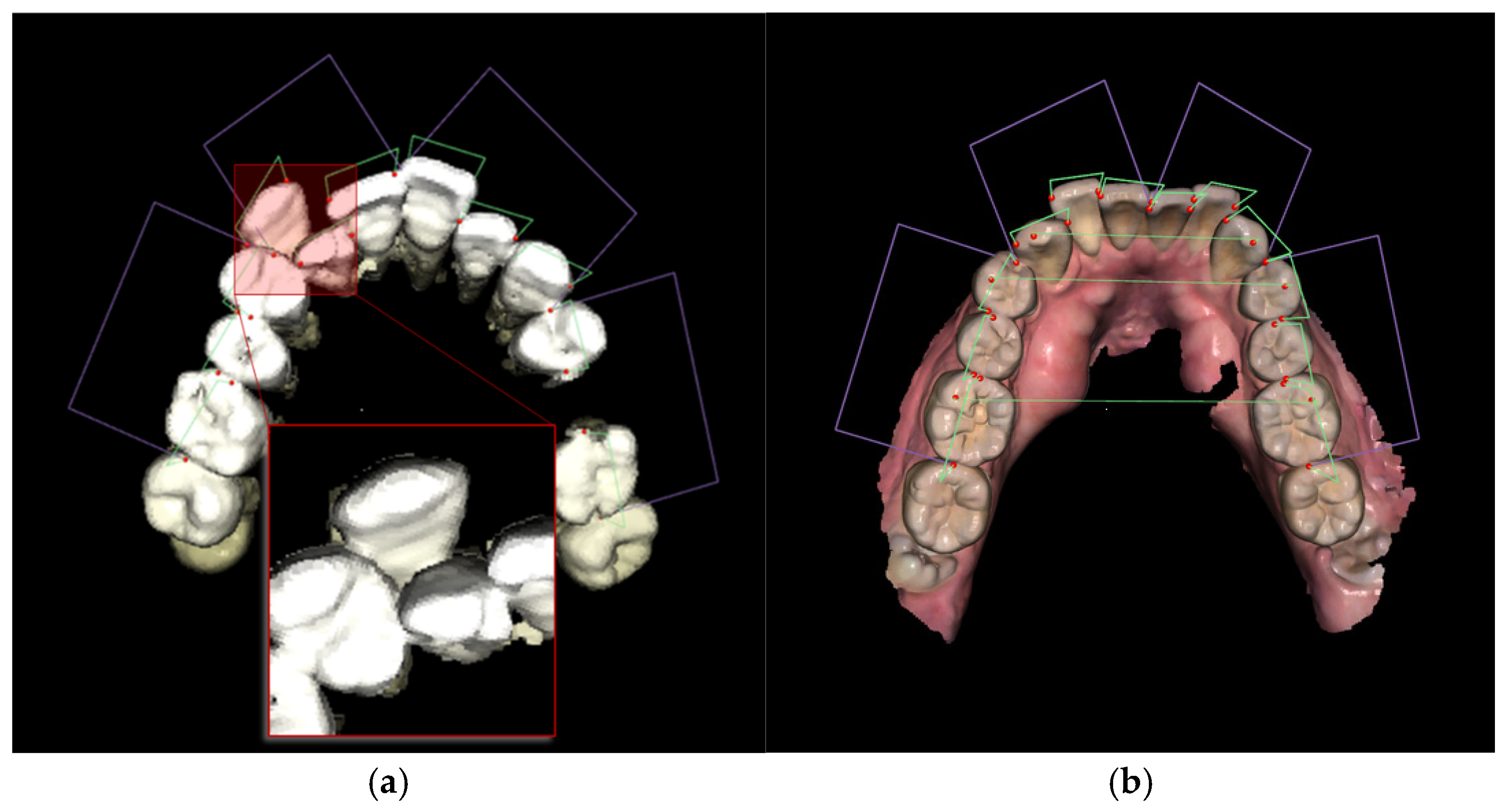 Bioengineering 12 00022 g012