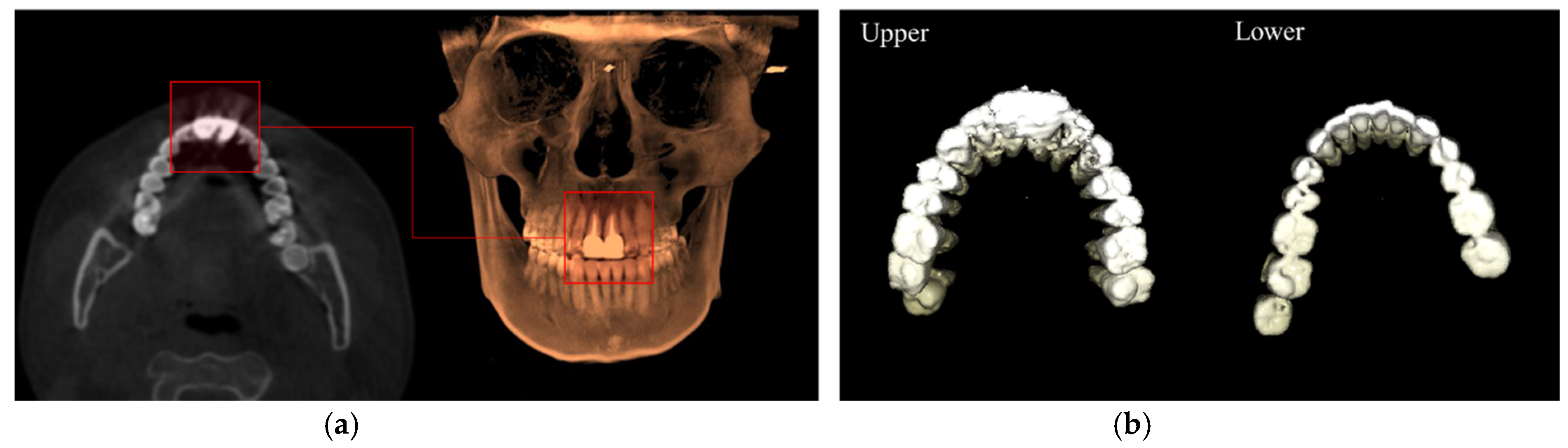 Bioengineering 12 00022 g013