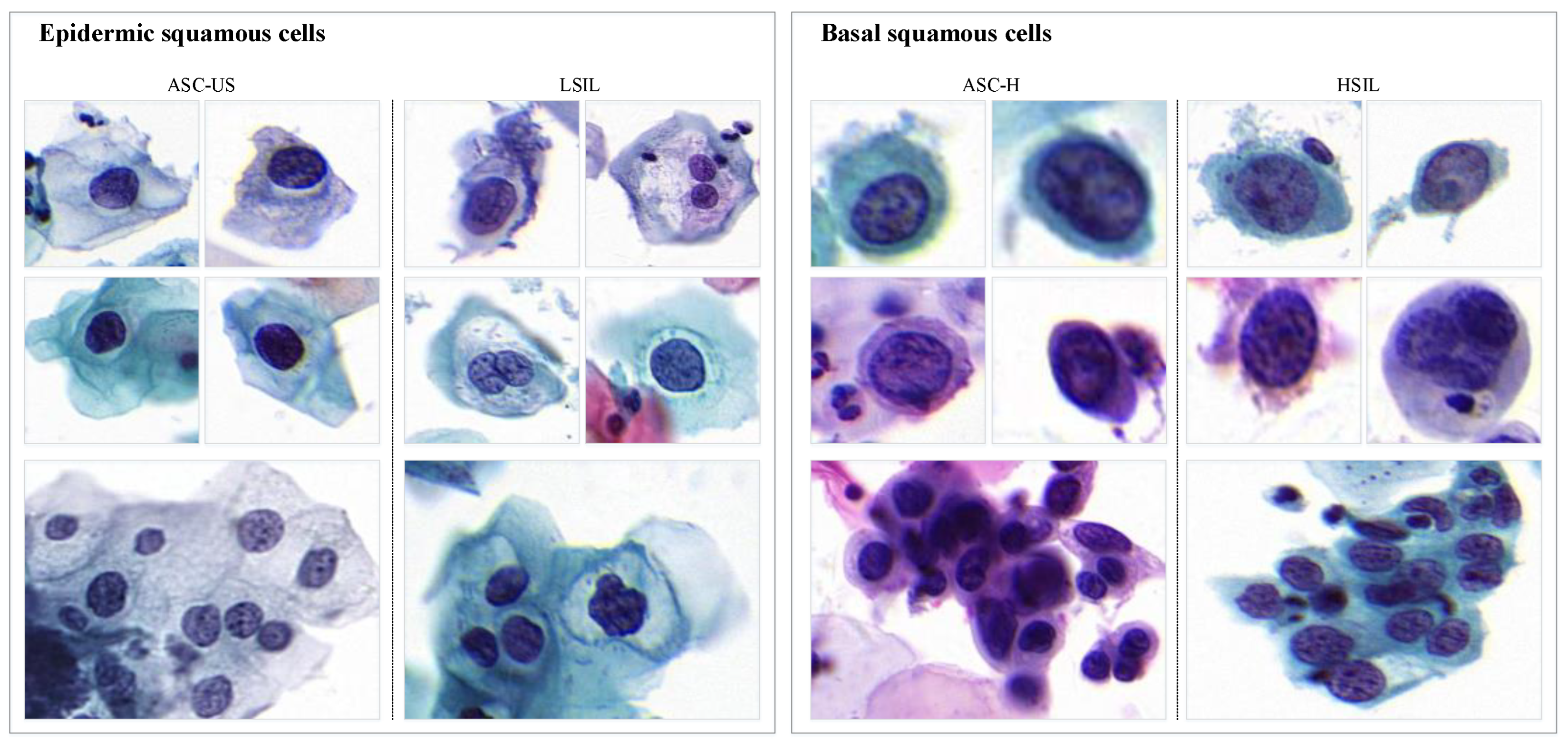 Bioengineering 12 00023 g001