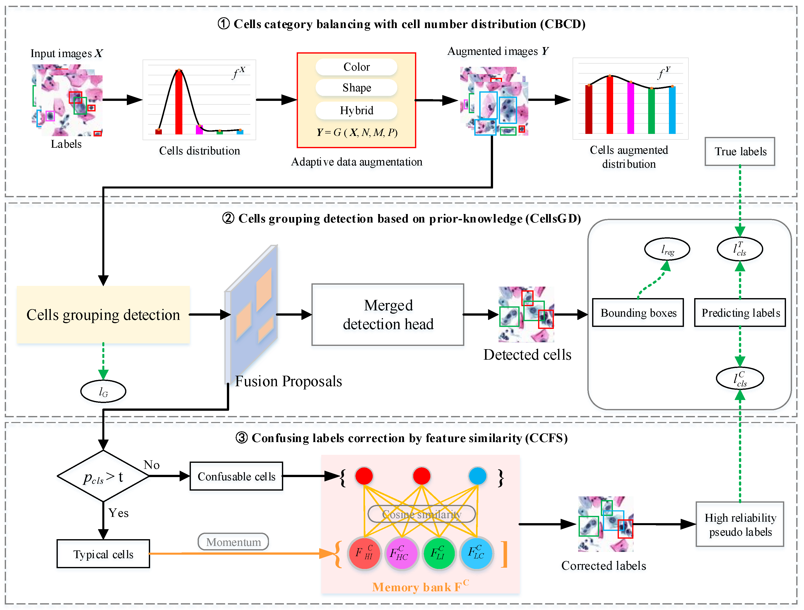 Bioengineering 12 00023 g002