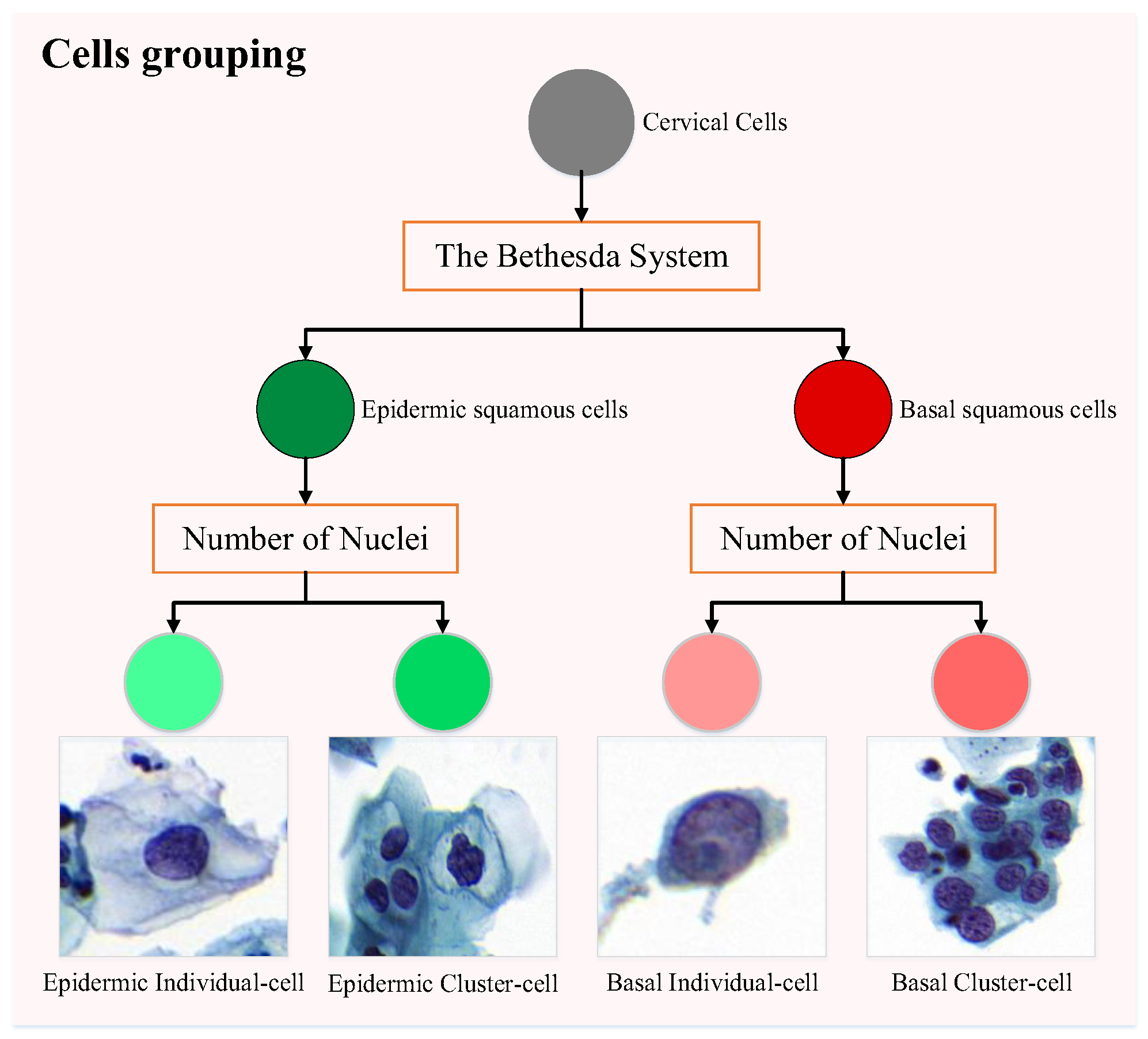 Bioengineering 12 00023 g003