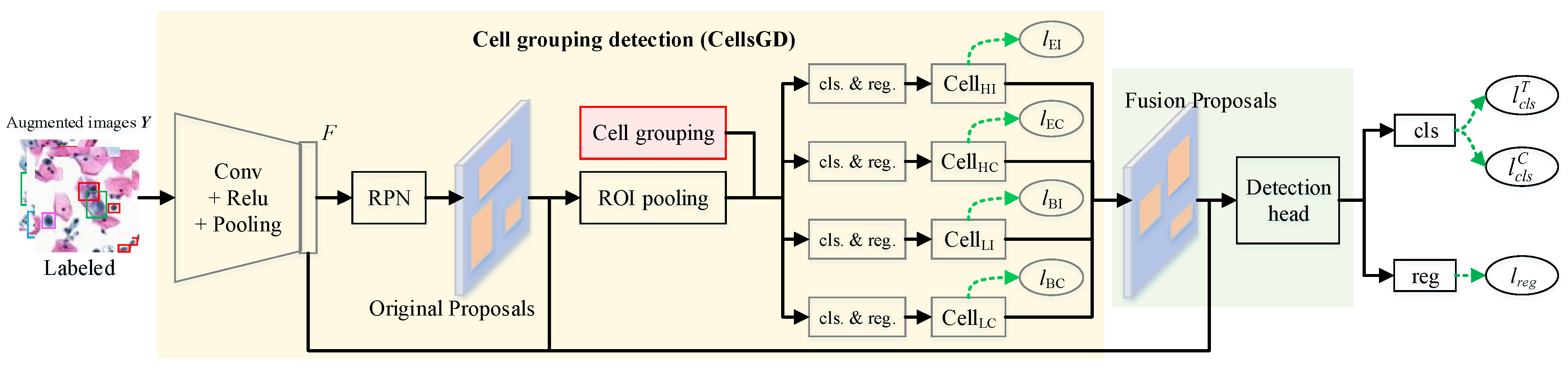 Bioengineering 12 00023 g004