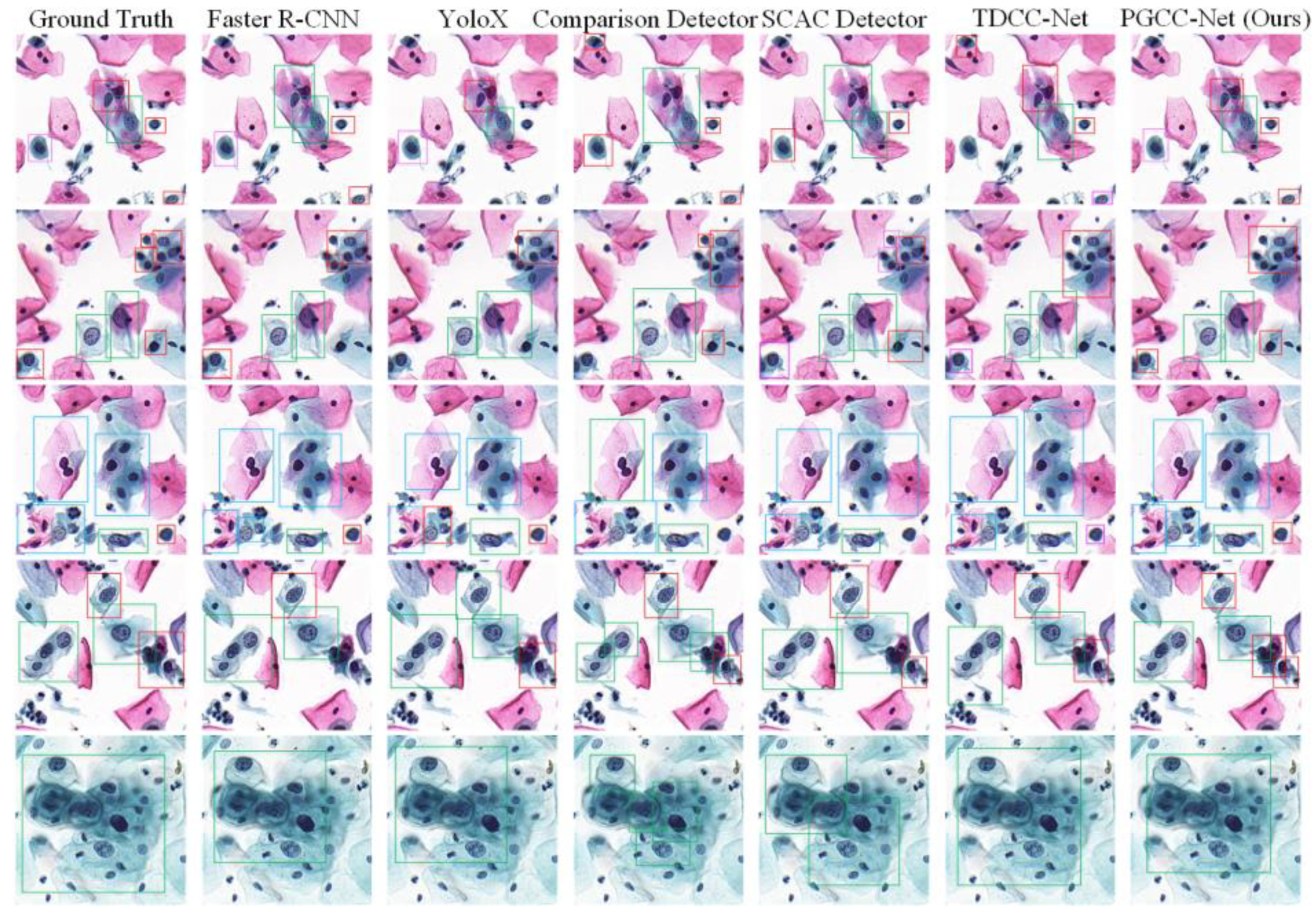 Bioengineering 12 00023 g007