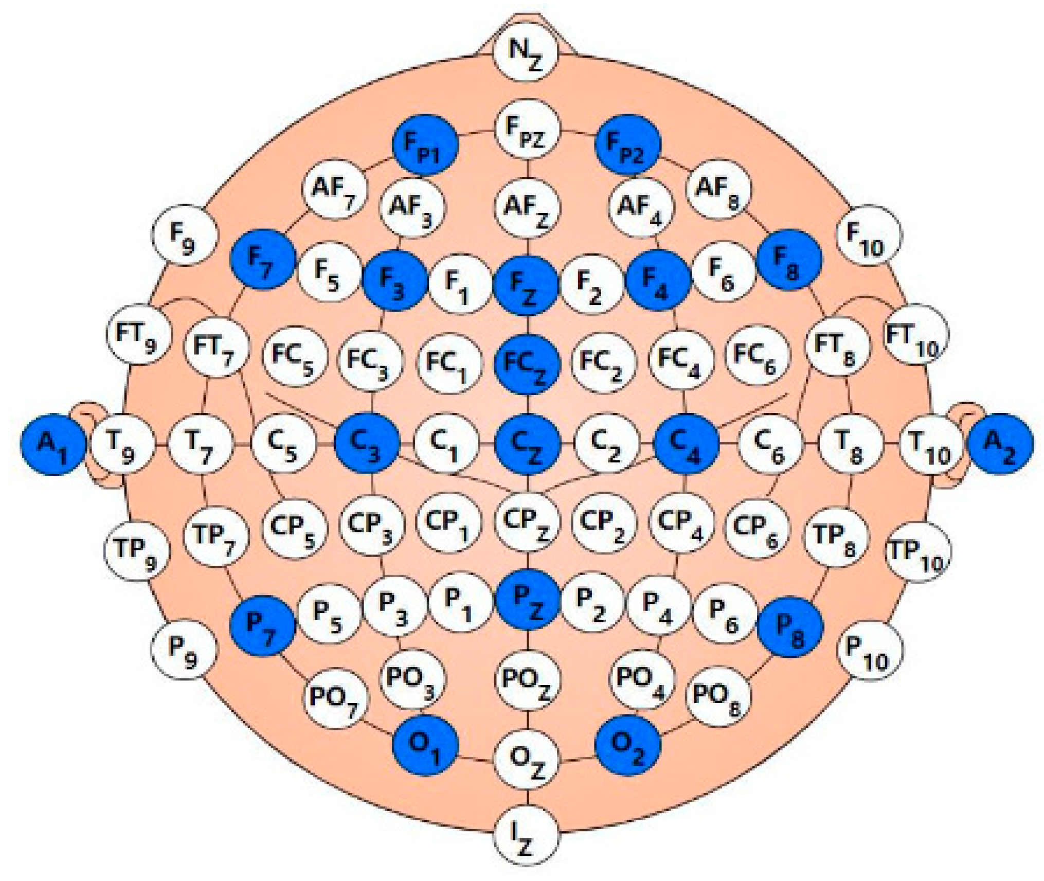 Bioengineering 12 00025 g001
