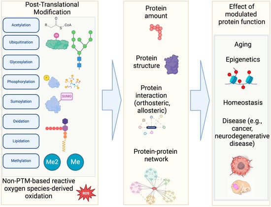 Bioengineering 12 00026 g001