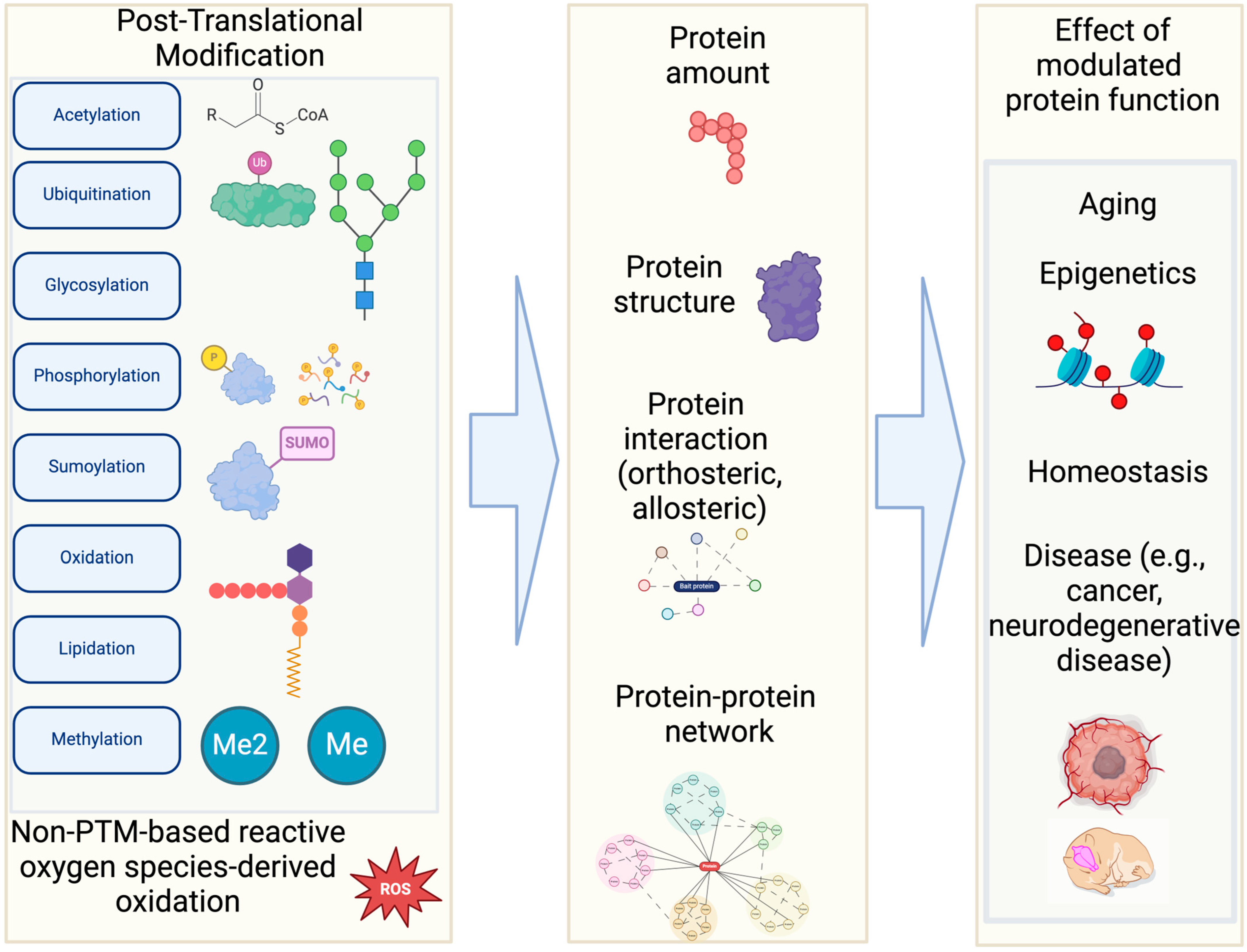 Bioengineering 12 00026 g001
