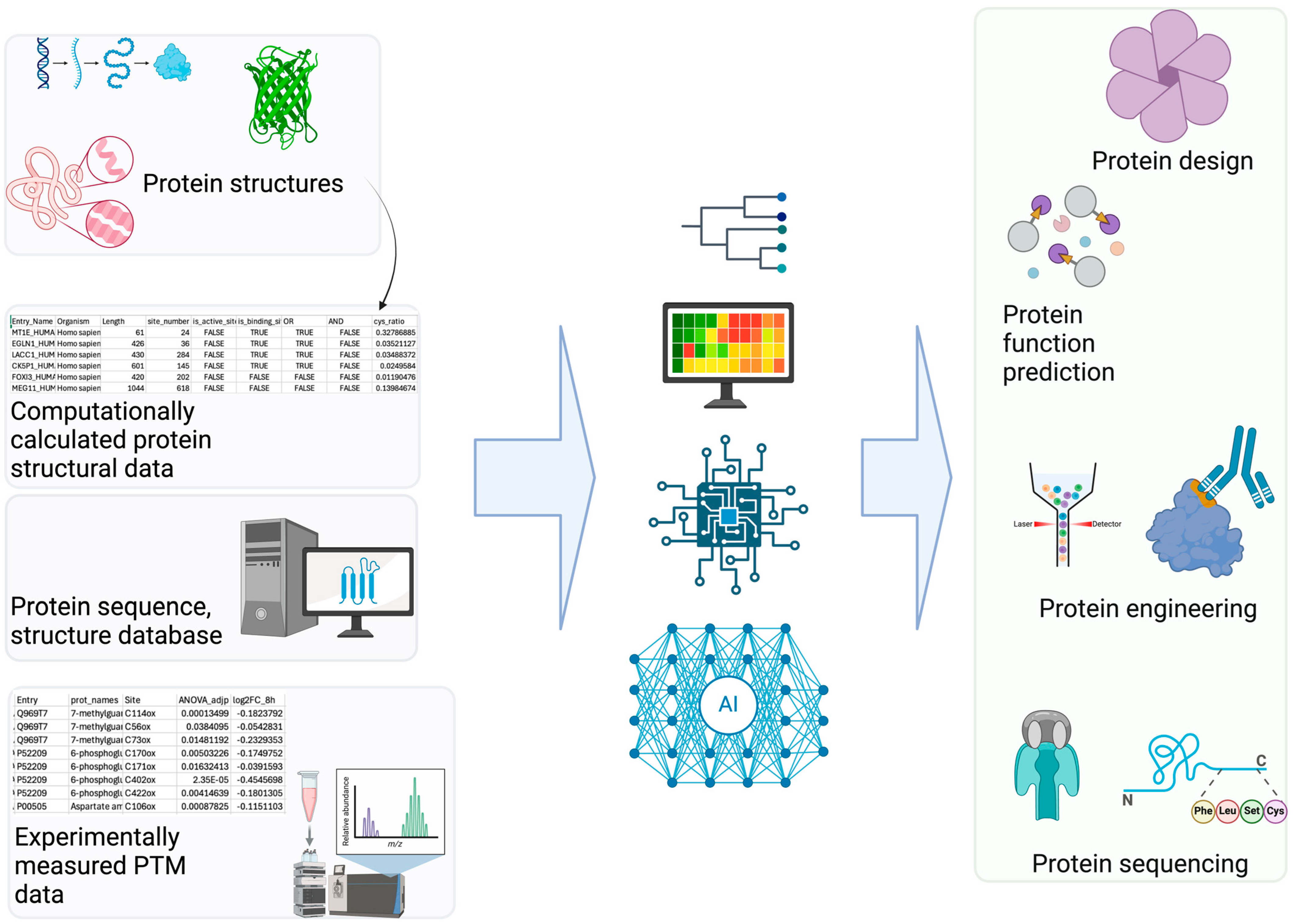 Bioengineering 12 00026 g002